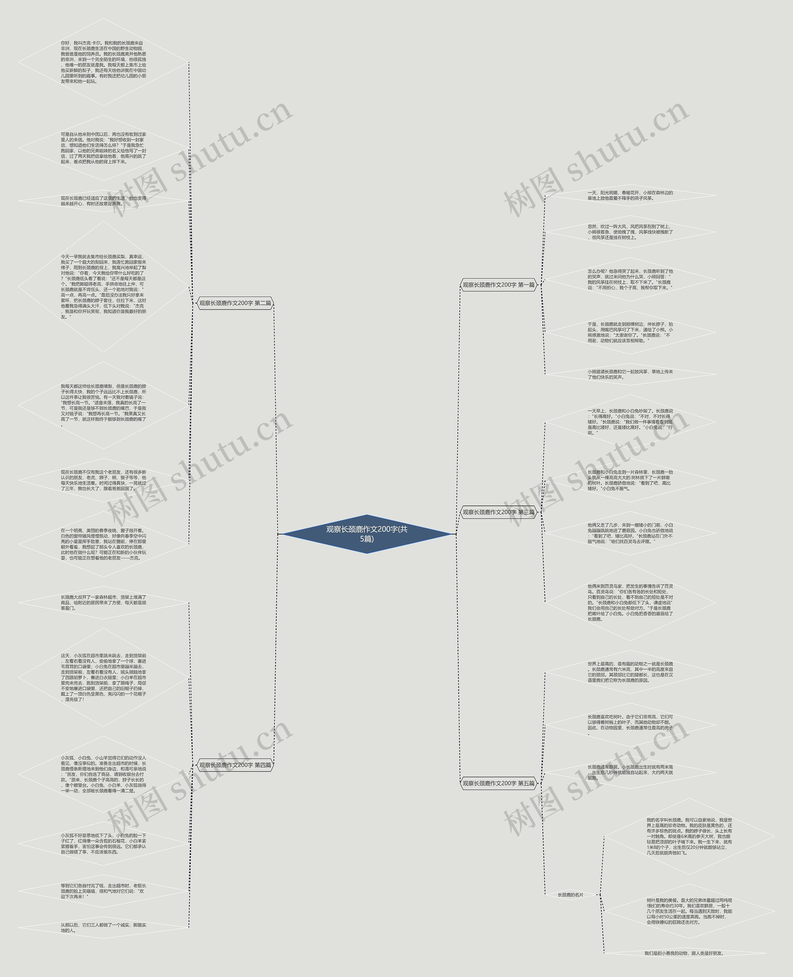 观察长颈鹿作文200字(共5篇)思维导图