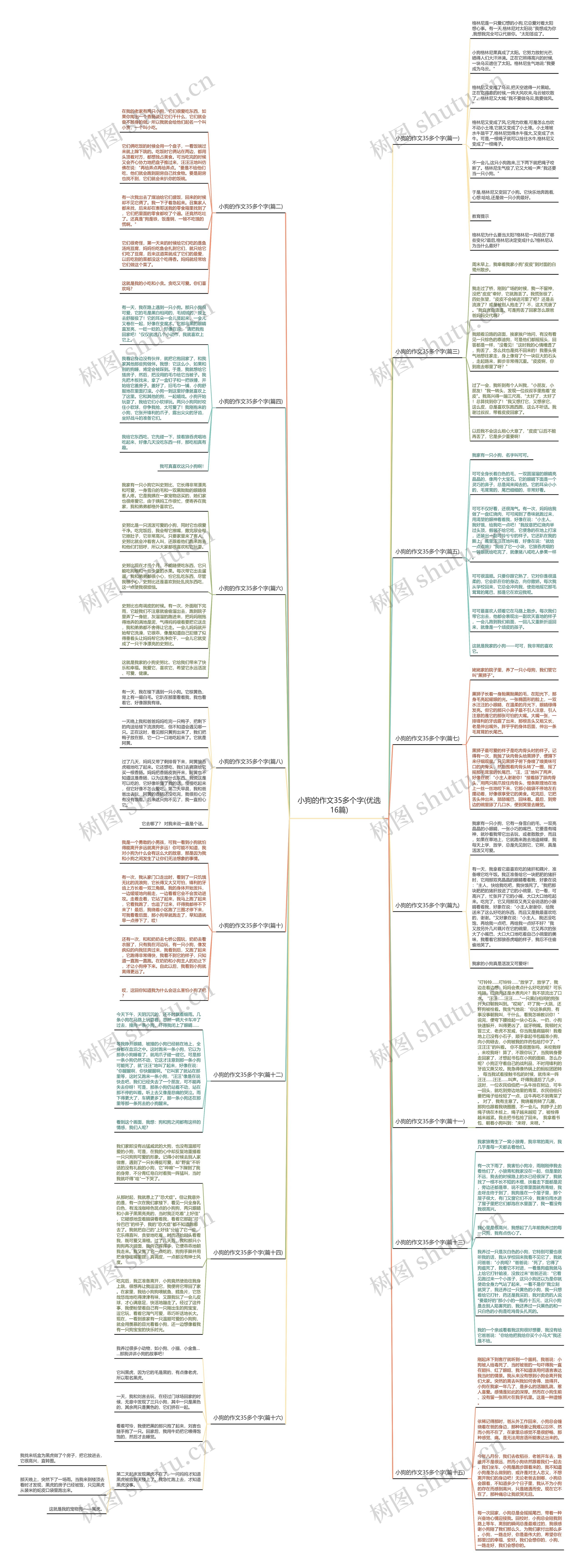 小狗的作文35多个字(优选16篇)思维导图