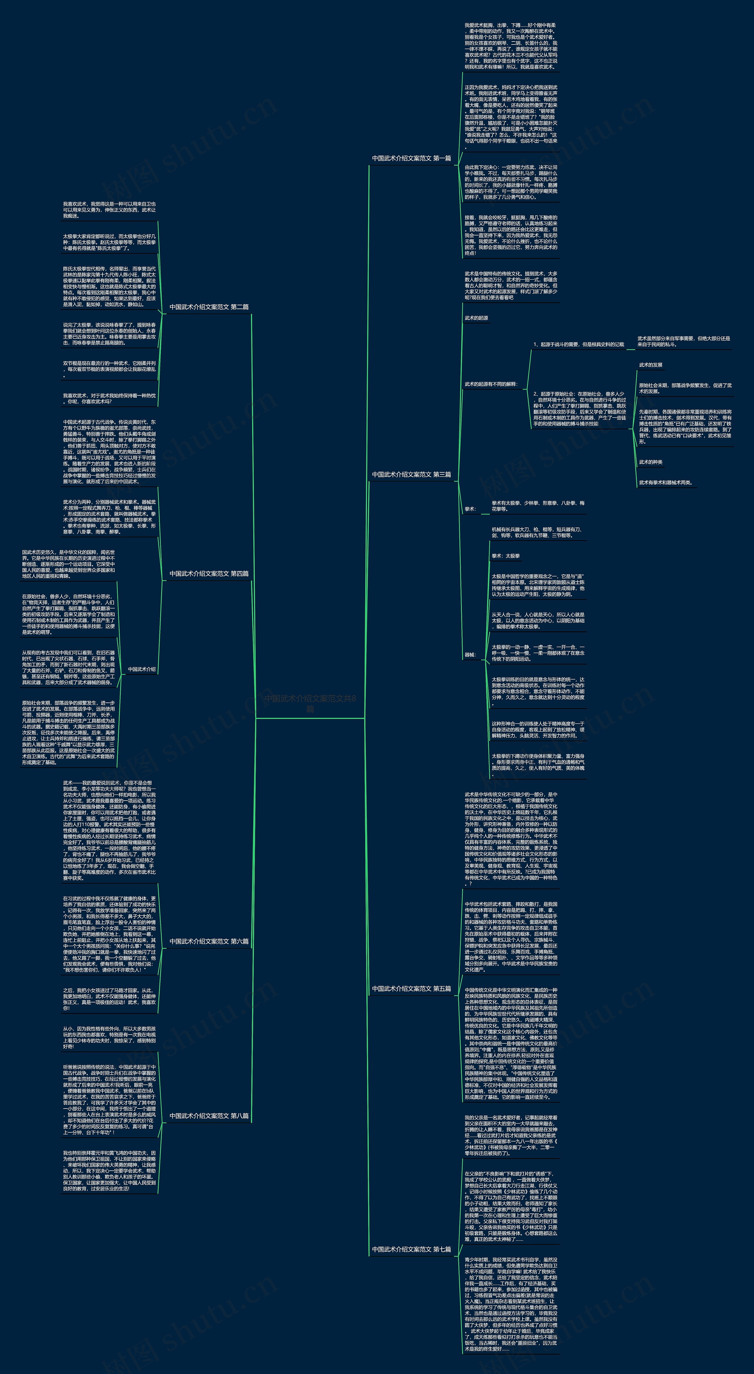 中国武术介绍文案范文共8篇思维导图