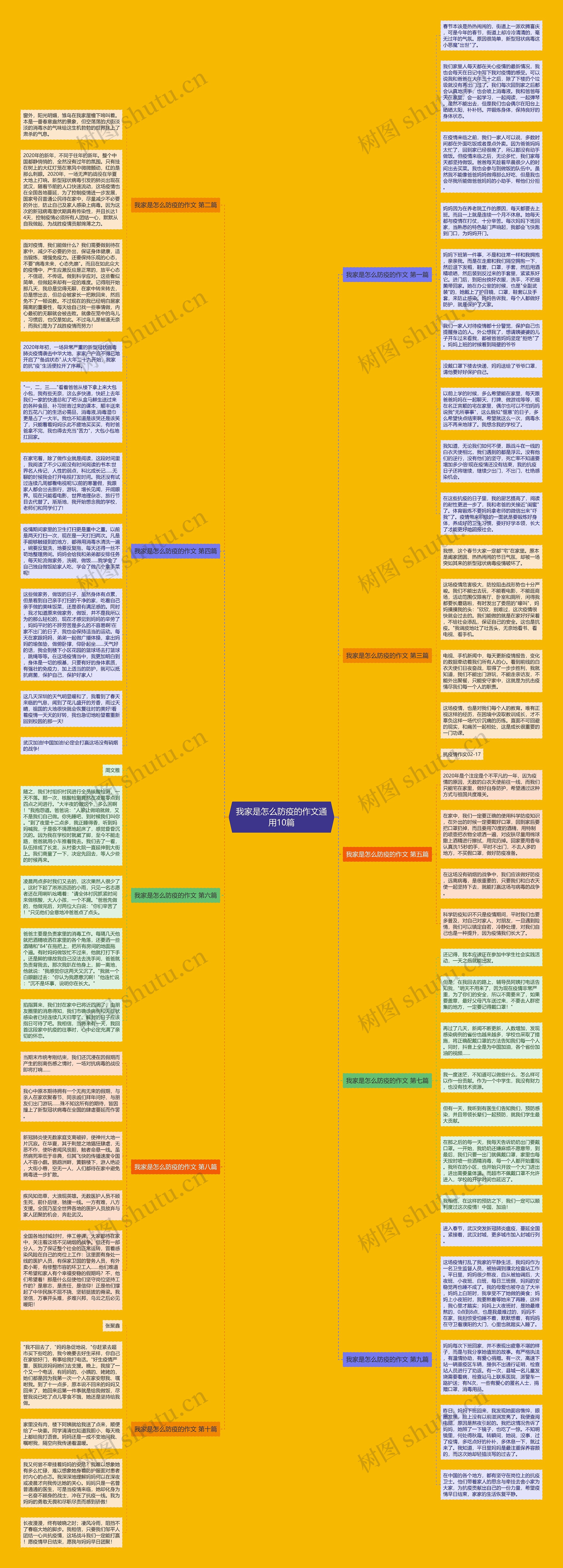 我家是怎么防疫的作文通用10篇思维导图