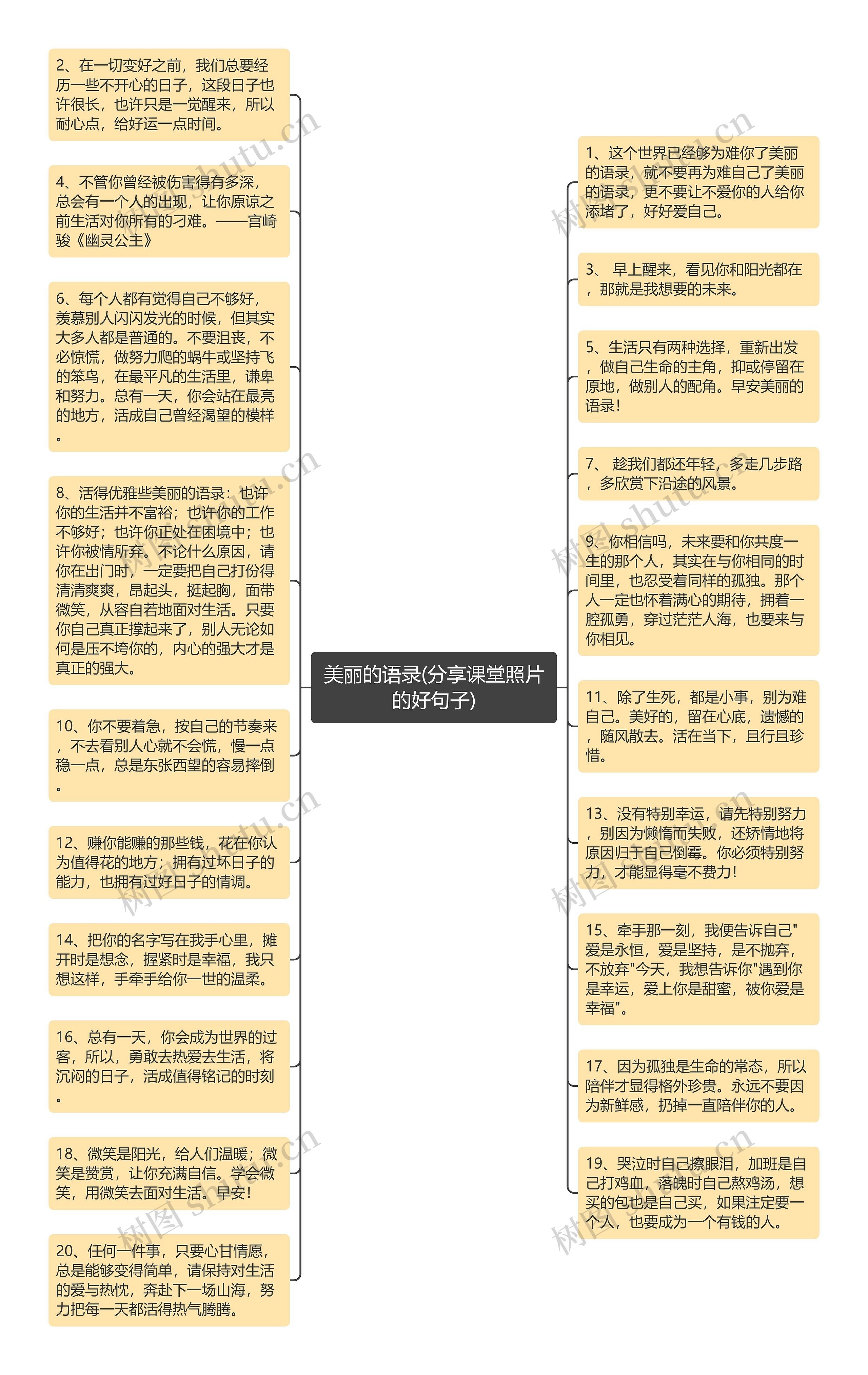 美丽的语录(分享课堂照片的好句子)