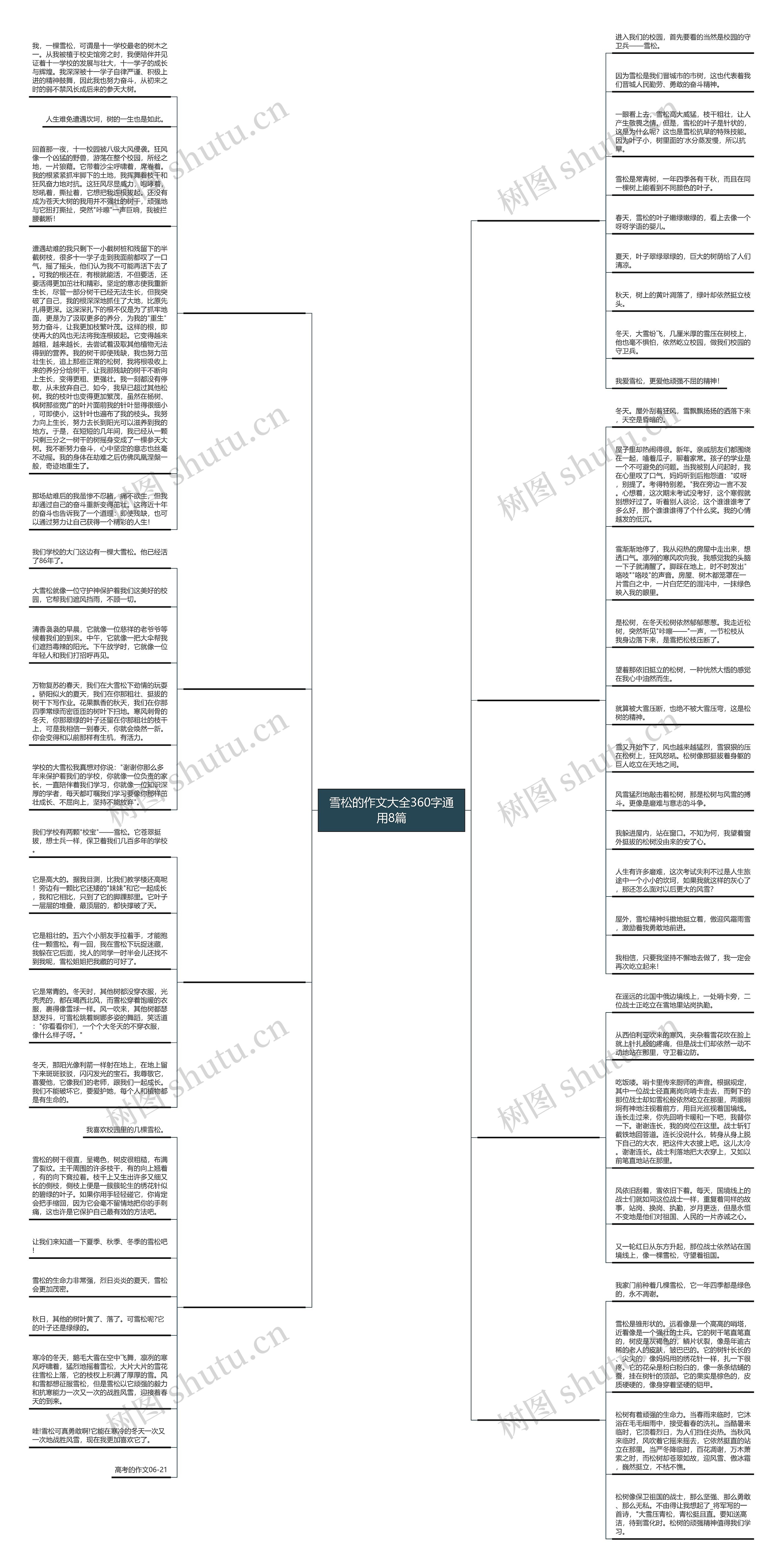 雪松的作文大全360字通用8篇思维导图
