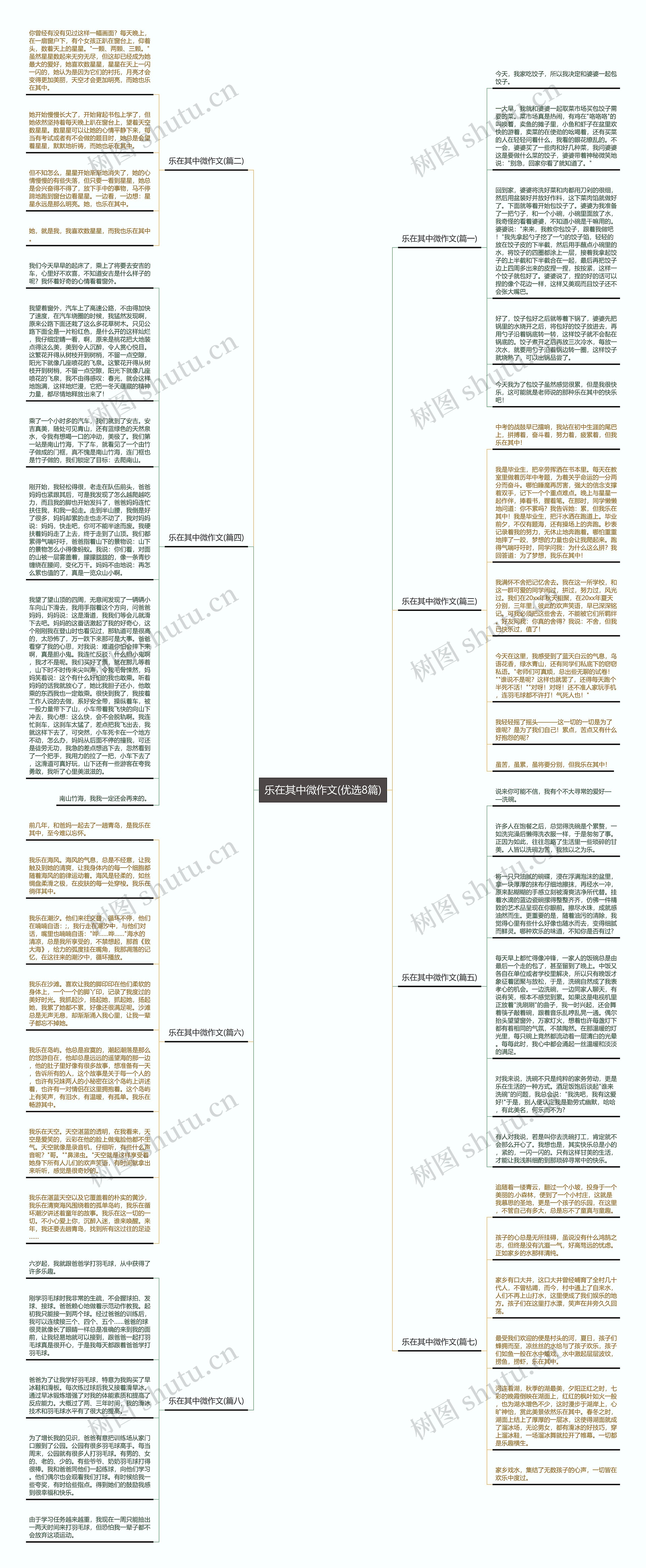 乐在其中微作文(优选8篇)思维导图