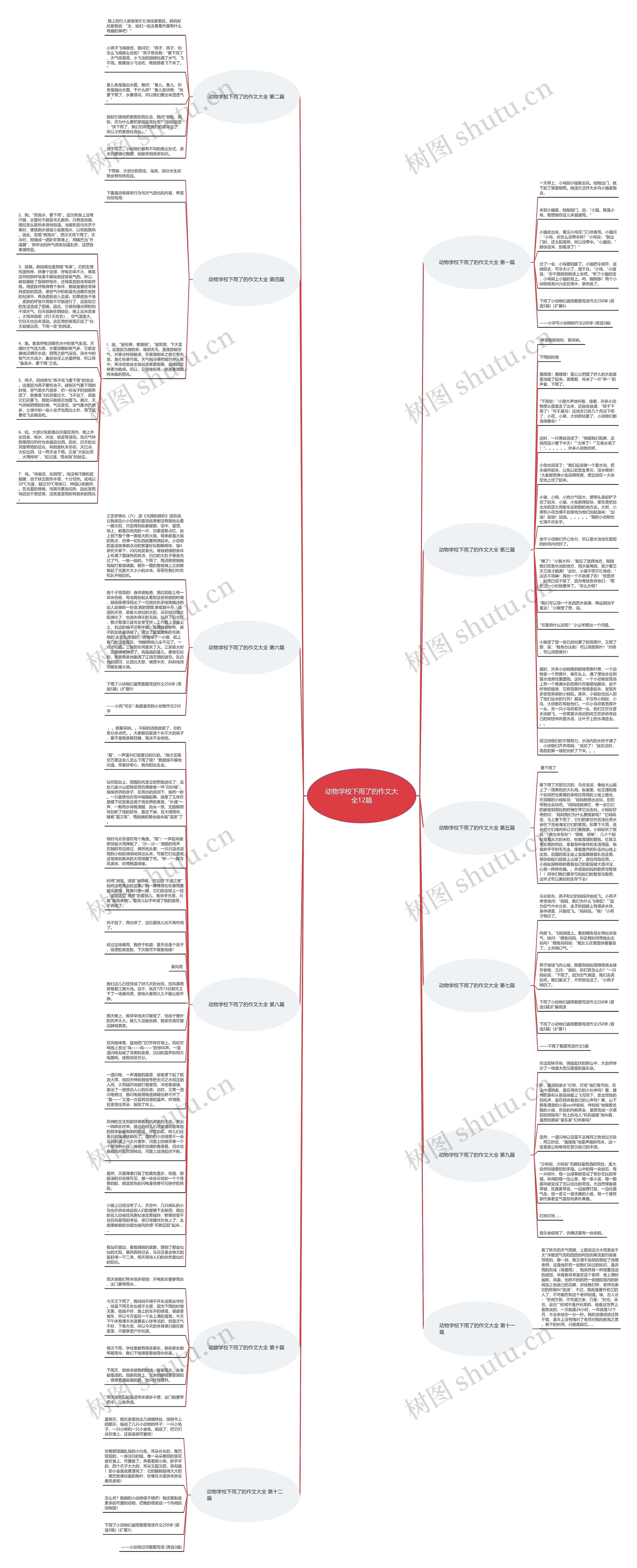 动物学校下雨了的作文大全12篇思维导图