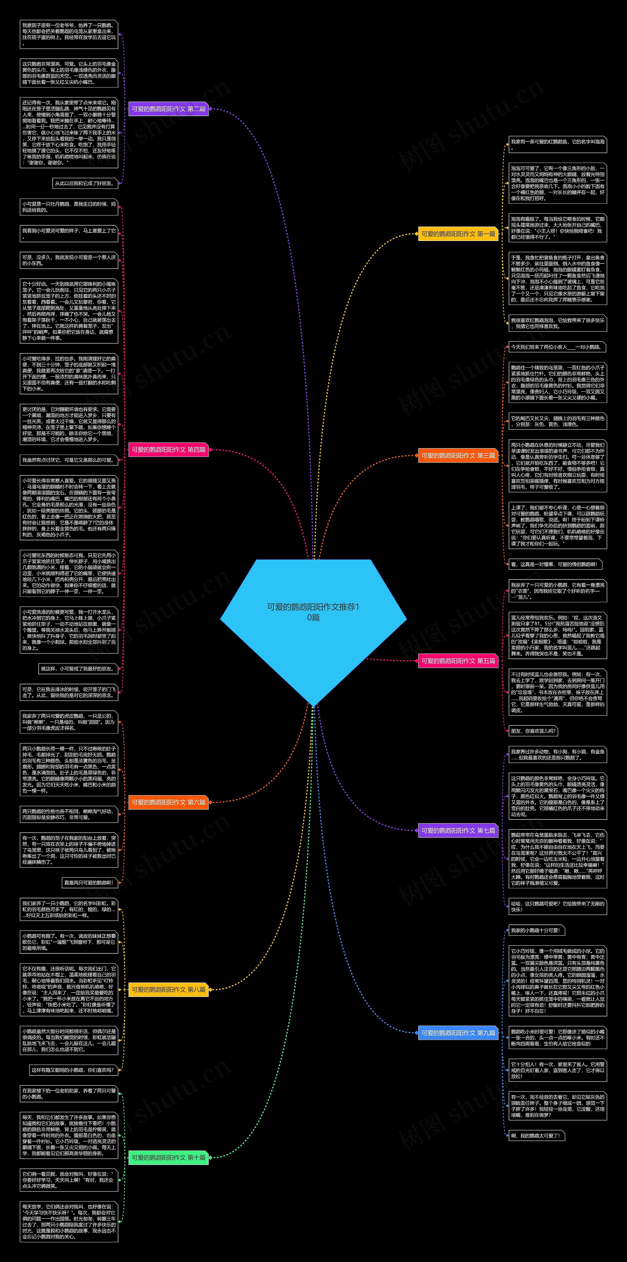 可爱的鹦鹉阳阳作文推荐10篇思维导图