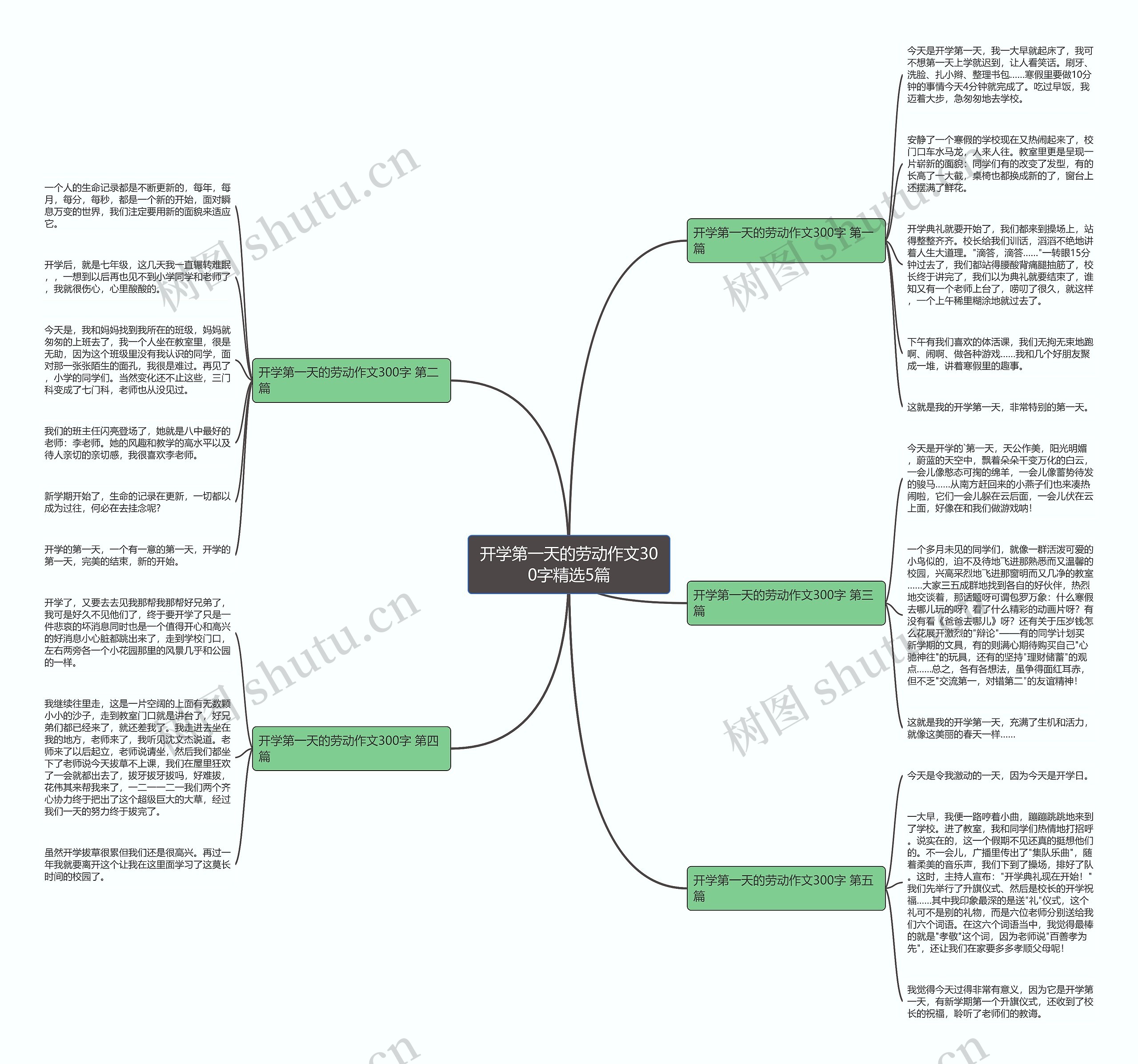 开学第一天的劳动作文300字精选5篇思维导图