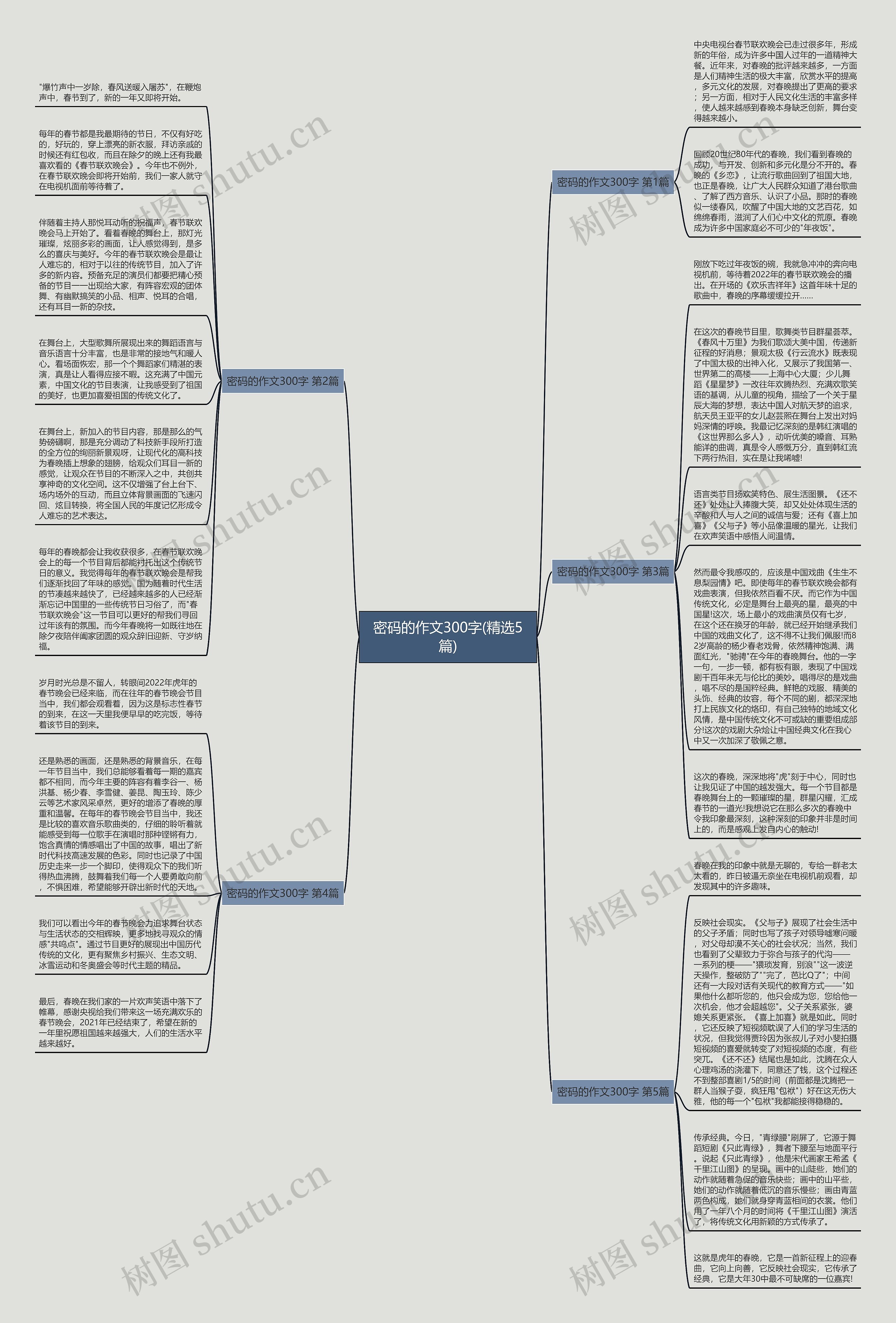密码的作文300字(精选5篇)思维导图