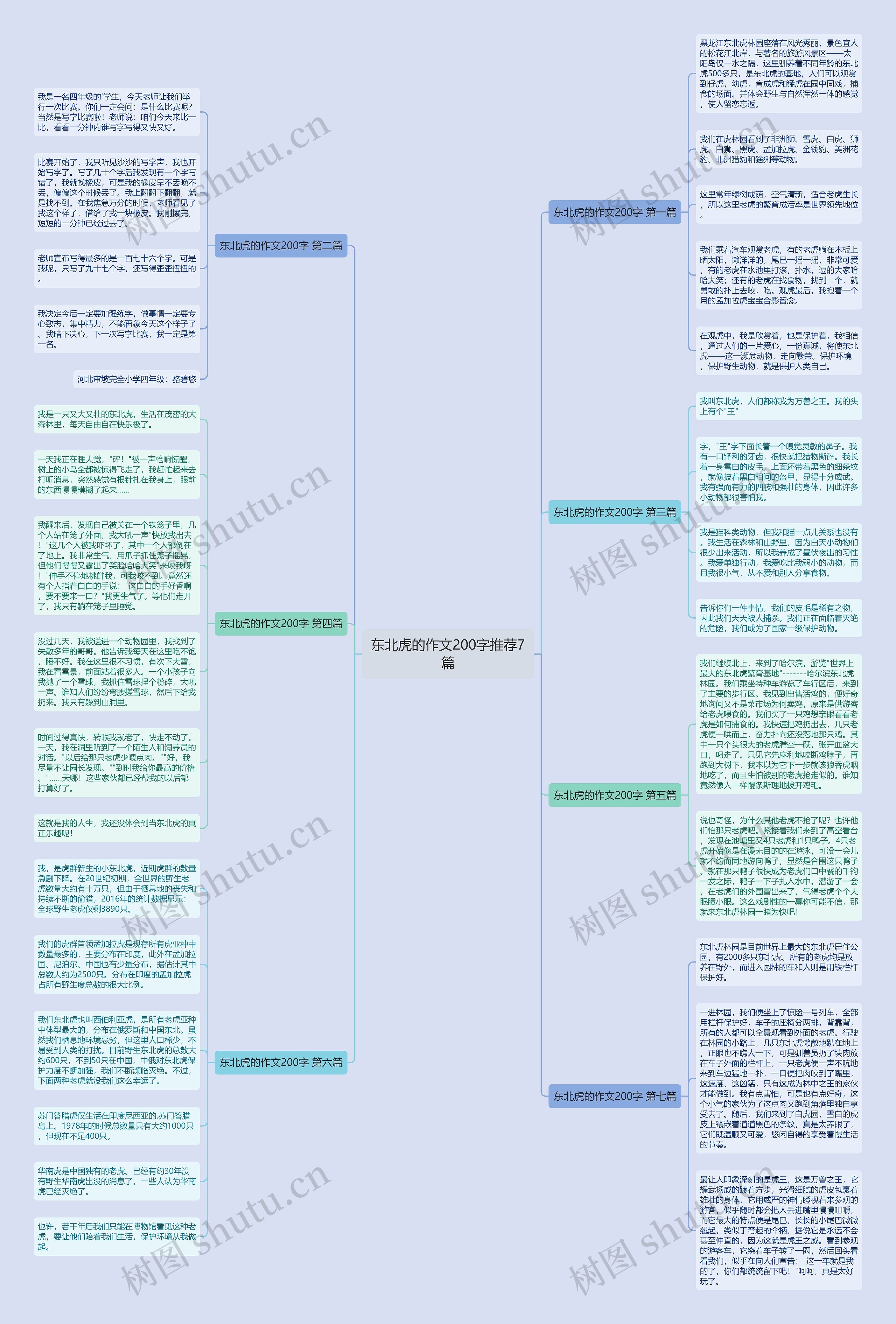 东北虎的作文200字推荐7篇思维导图