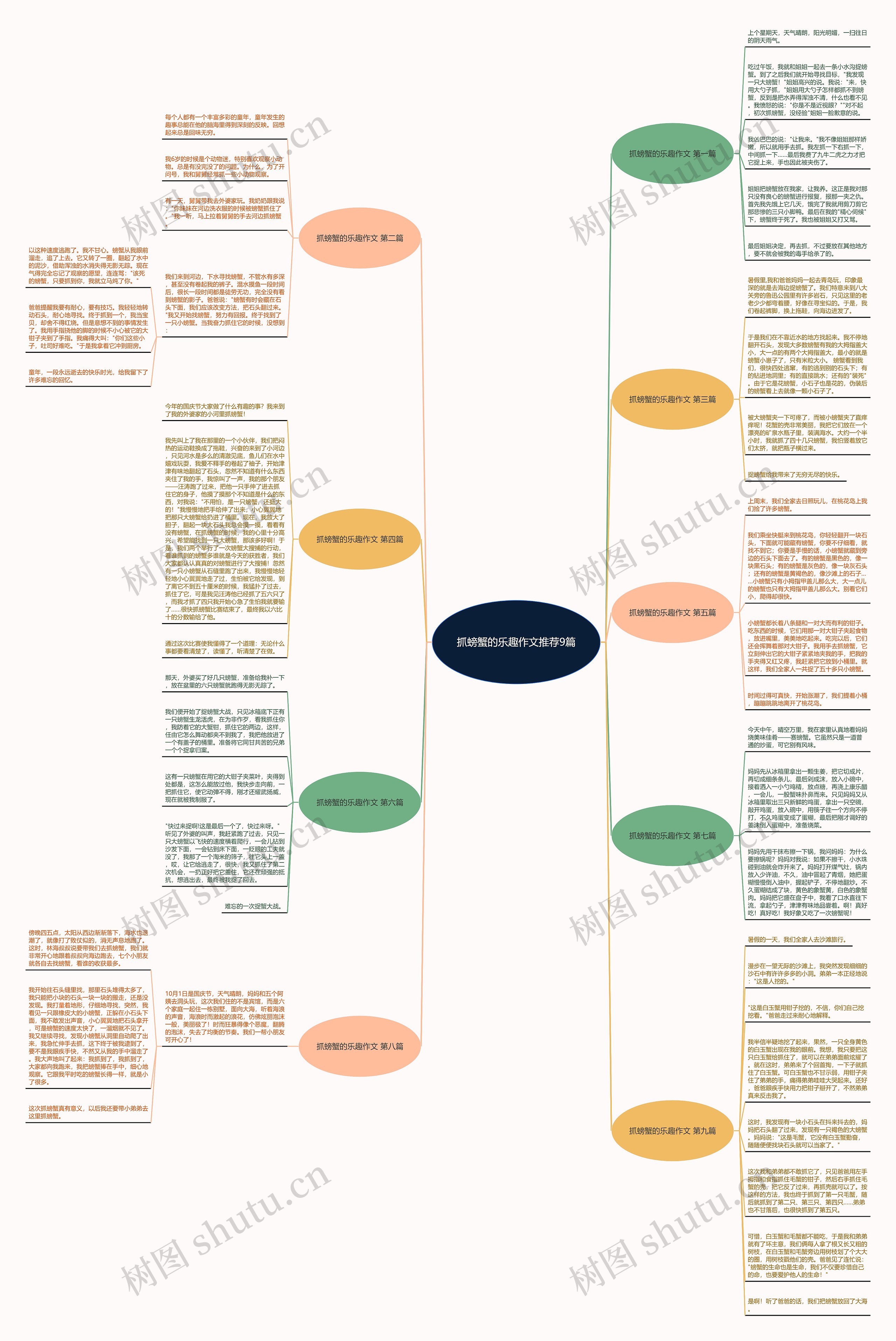 抓螃蟹的乐趣作文推荐9篇思维导图