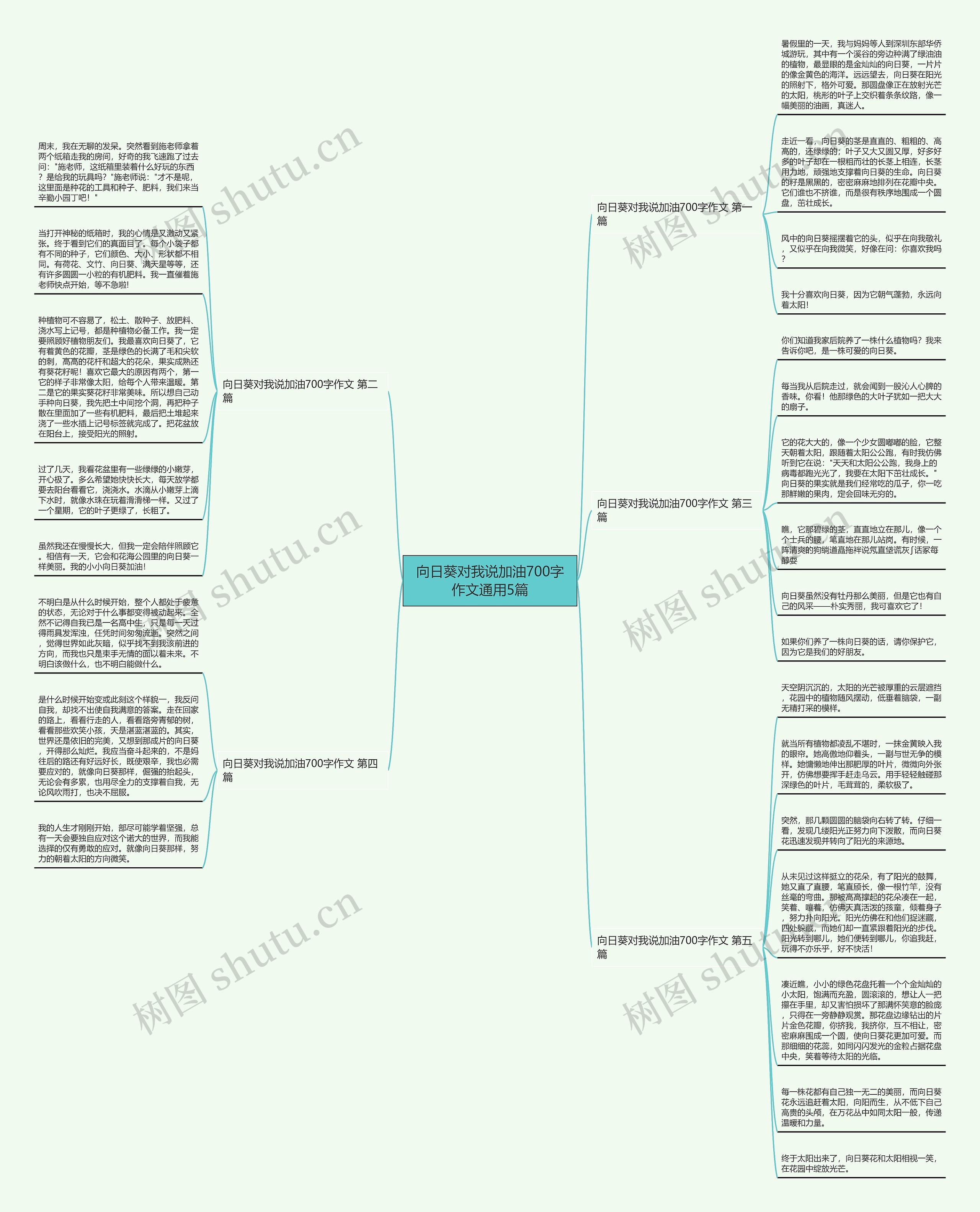 向日葵对我说加油700字作文通用5篇思维导图