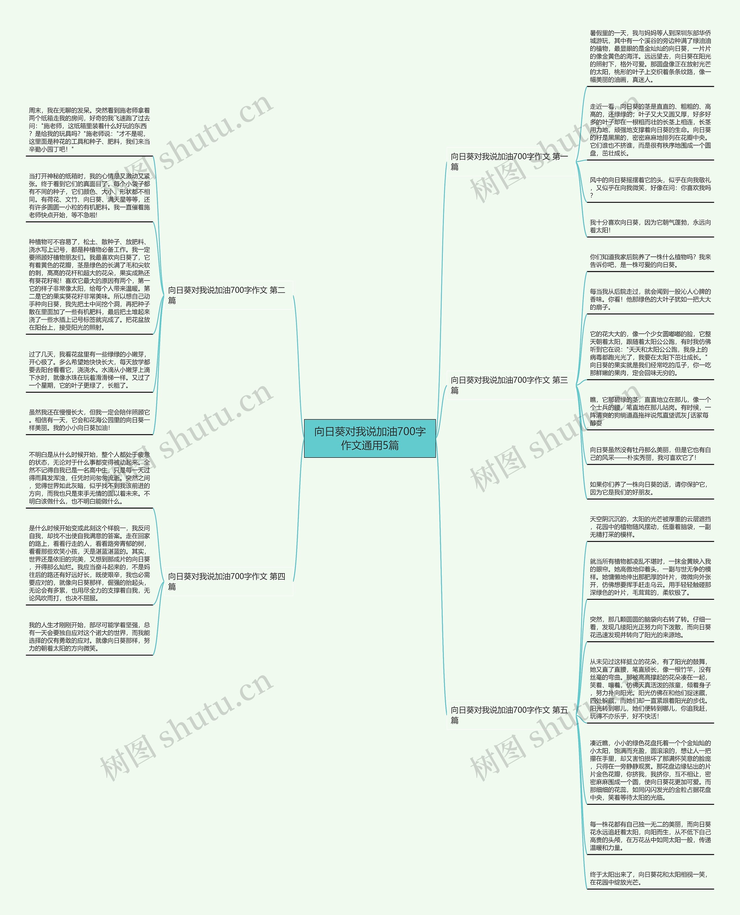 向日葵对我说加油700字作文通用5篇 向日葵对我说加油700字作文通用5篇