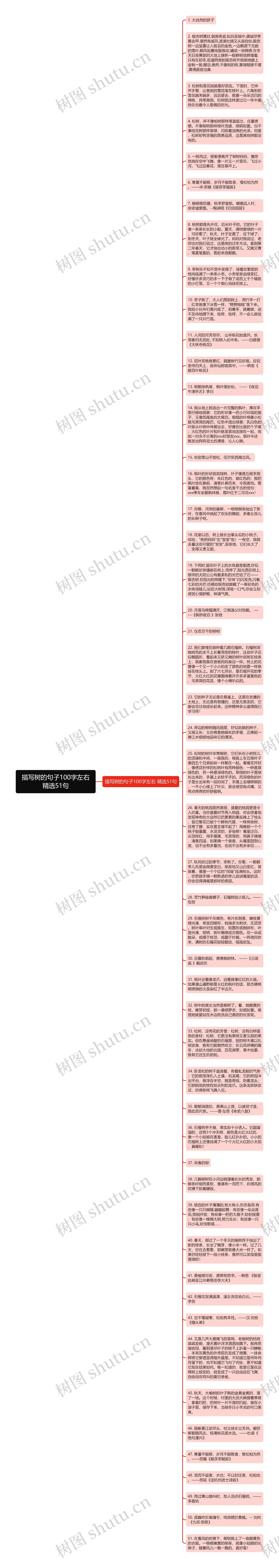 描写树的句子100字左右精选51句