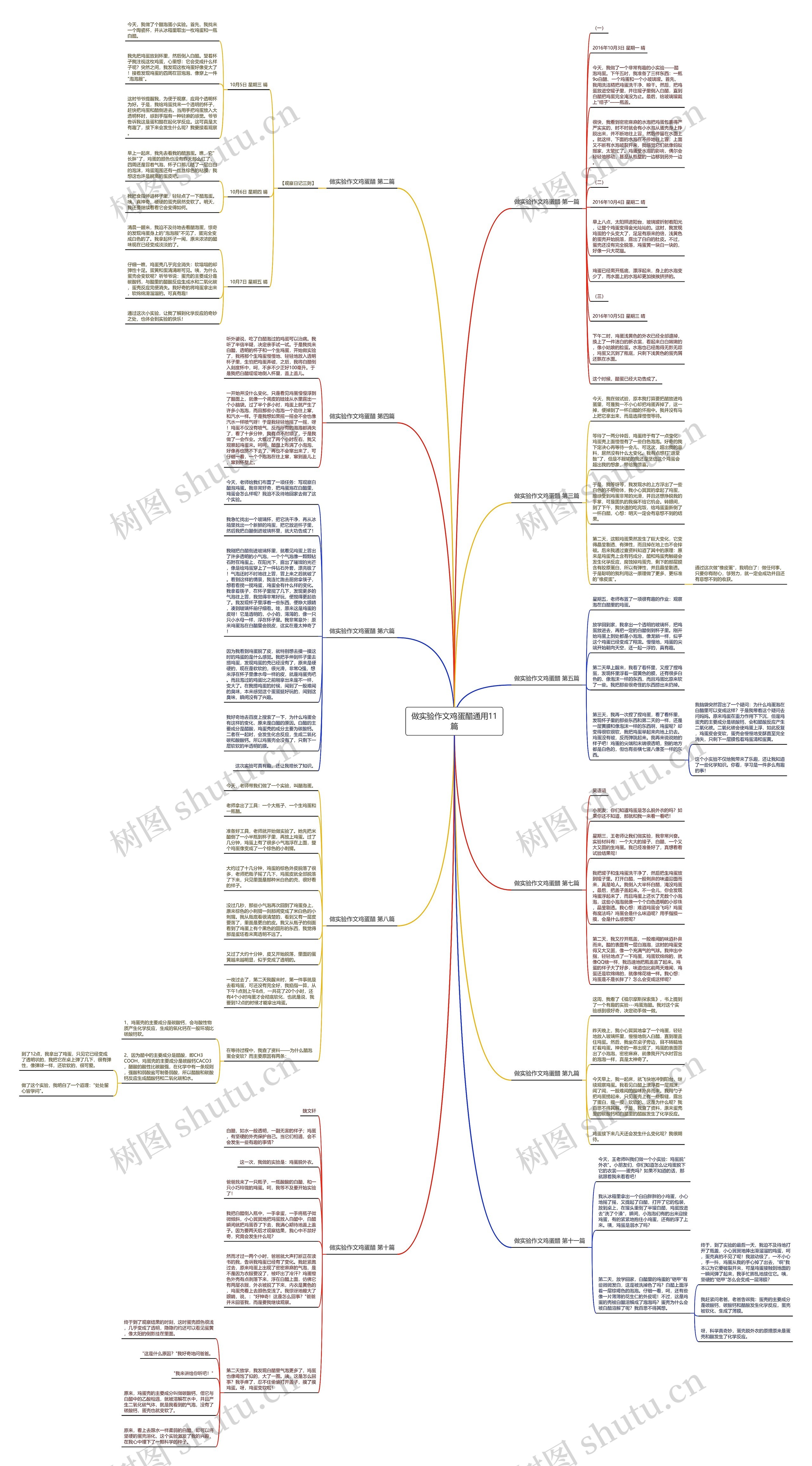 做实验作文鸡蛋醋通用11篇思维导图