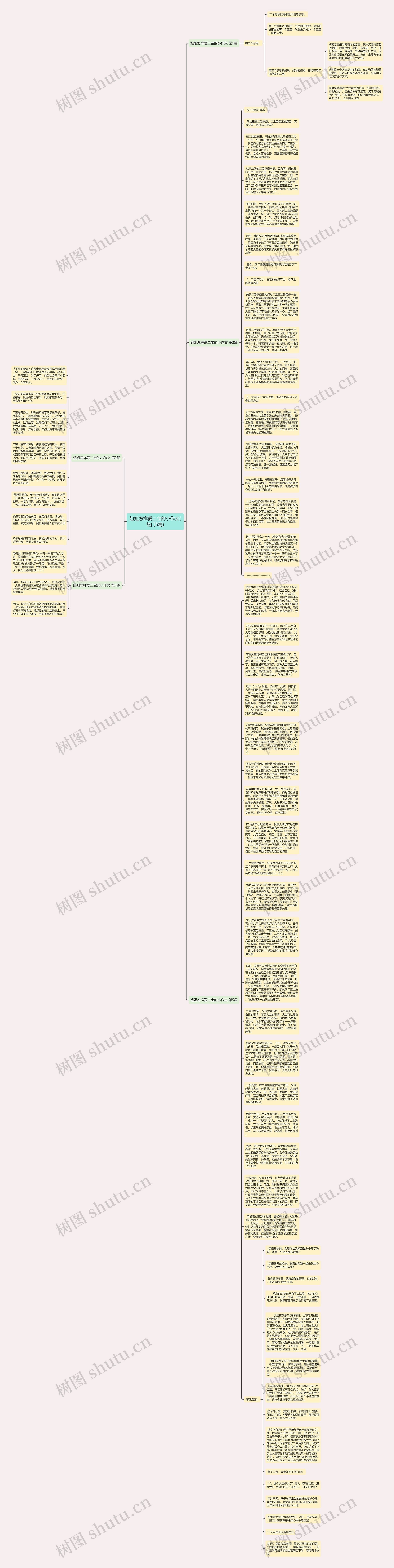 姐姐怎样爱二宝的小作文(热门5篇)思维导图