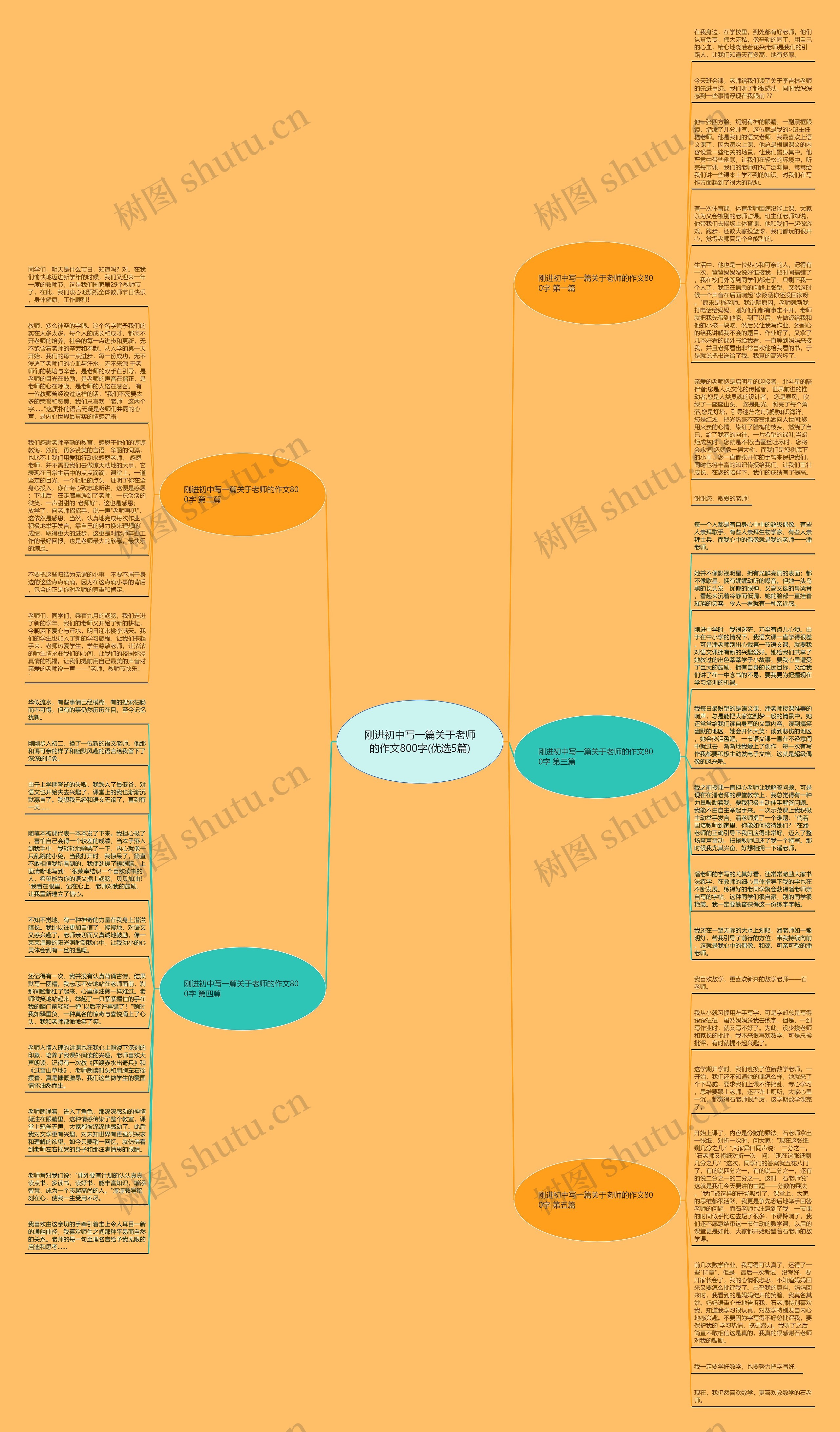 刚进初中写一篇关于老师的作文800字(优选5篇)思维导图