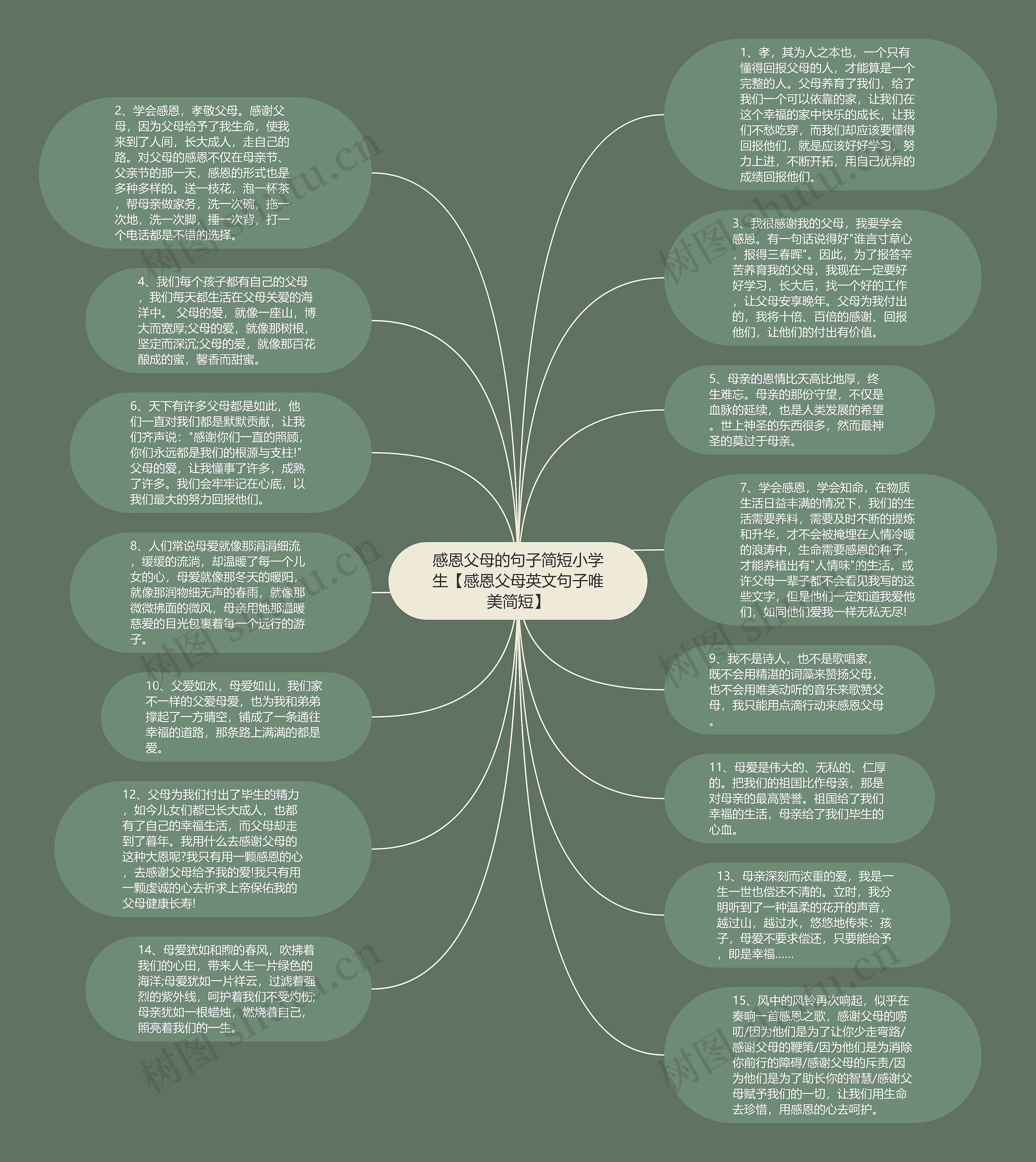 感恩父母的句子简短小学生【感恩父母英文句子唯美简短】思维导图