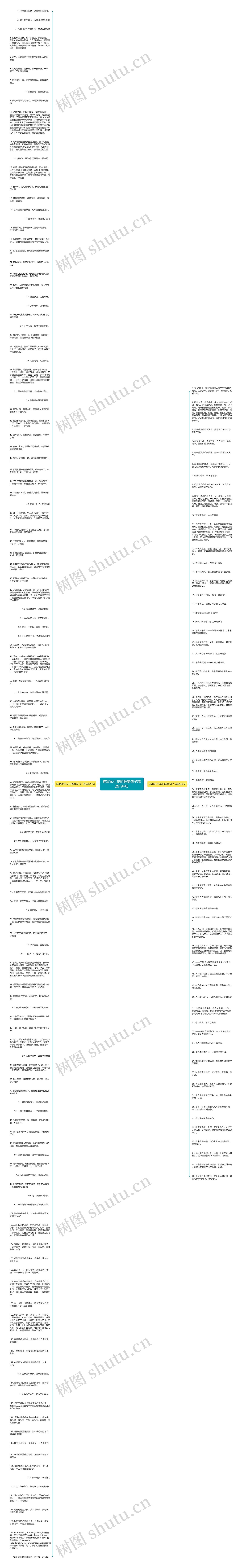 描写永生花的唯美句子精选194句思维导图