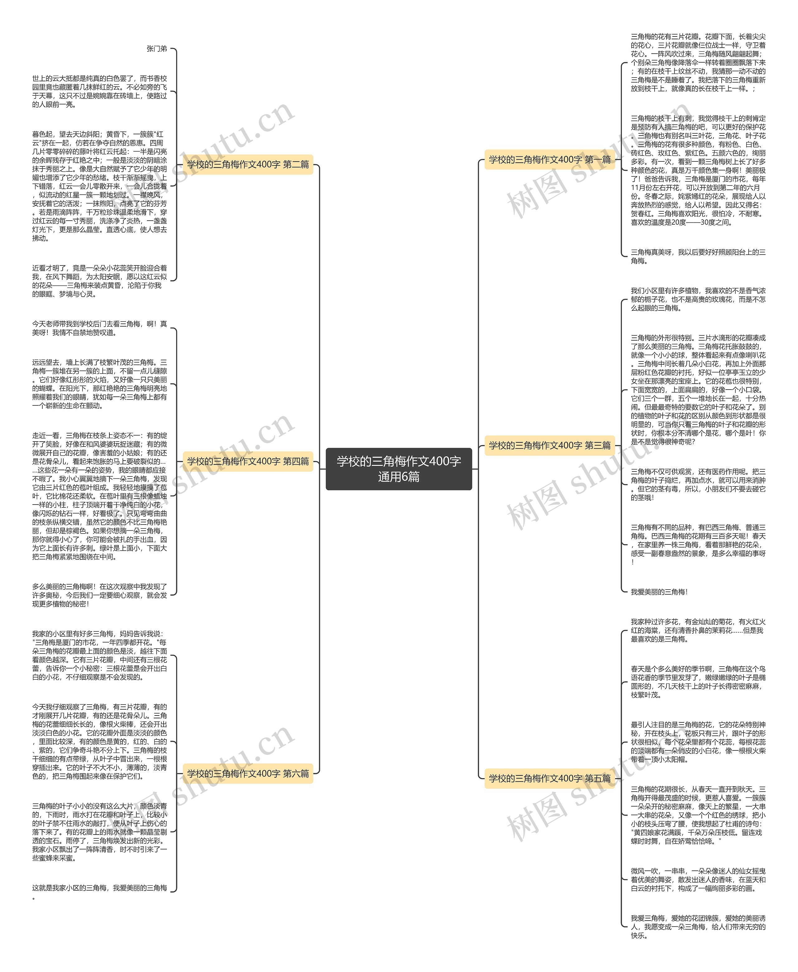 学校的三角梅作文400字通用6篇思维导图