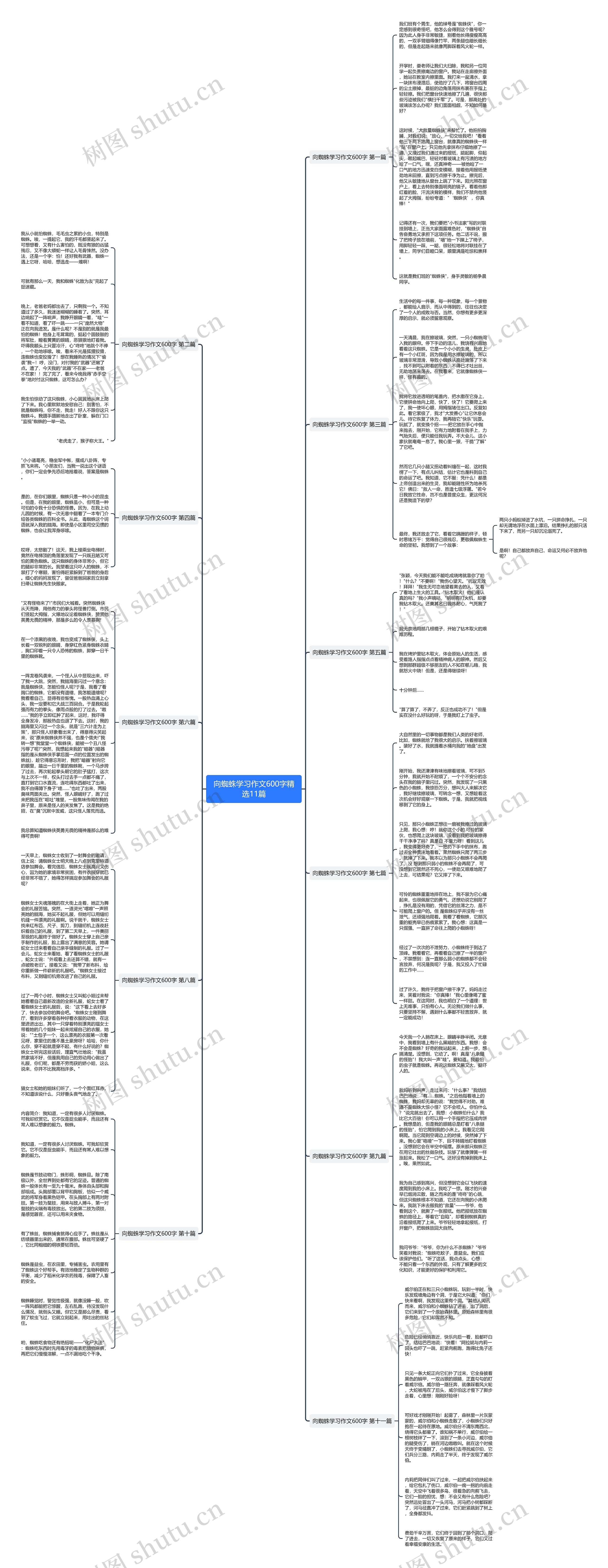 向蜘蛛学习作文600字精选11篇