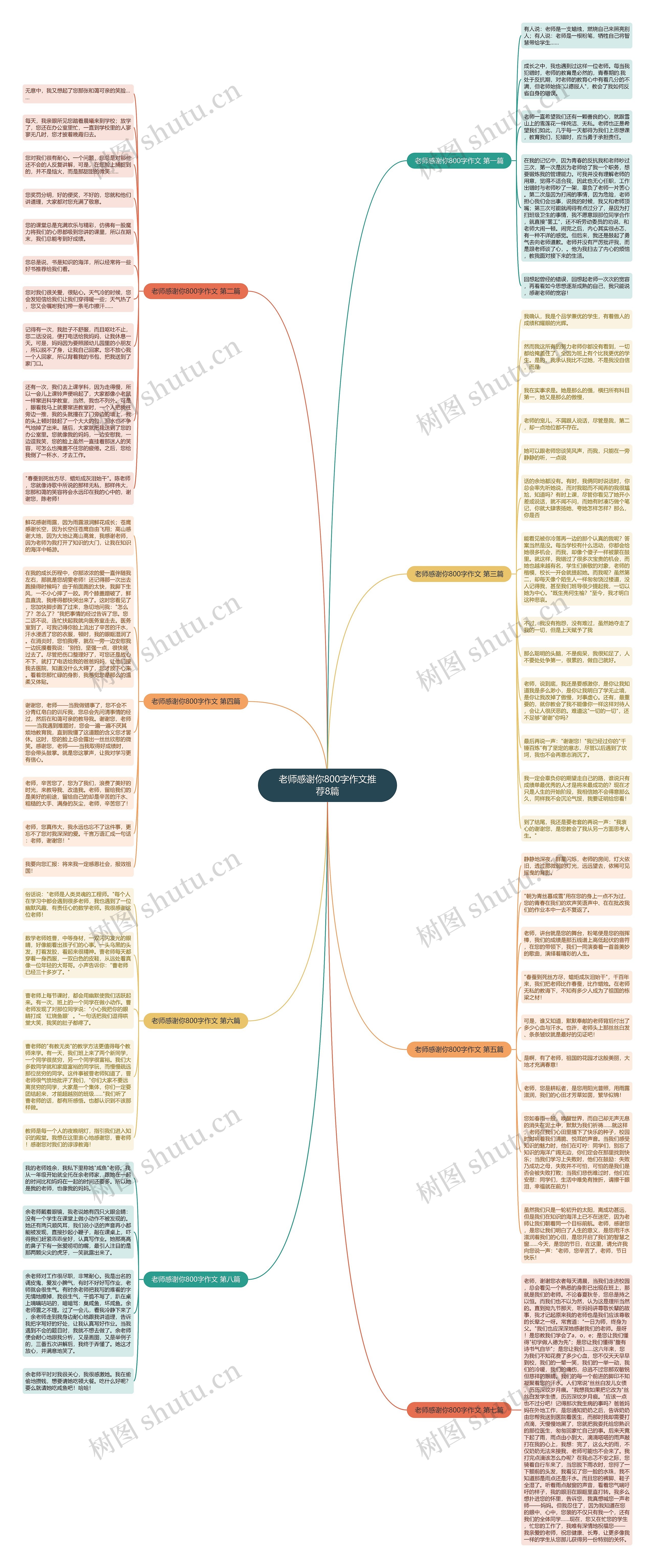 老师感谢你800字作文推荐8篇思维导图