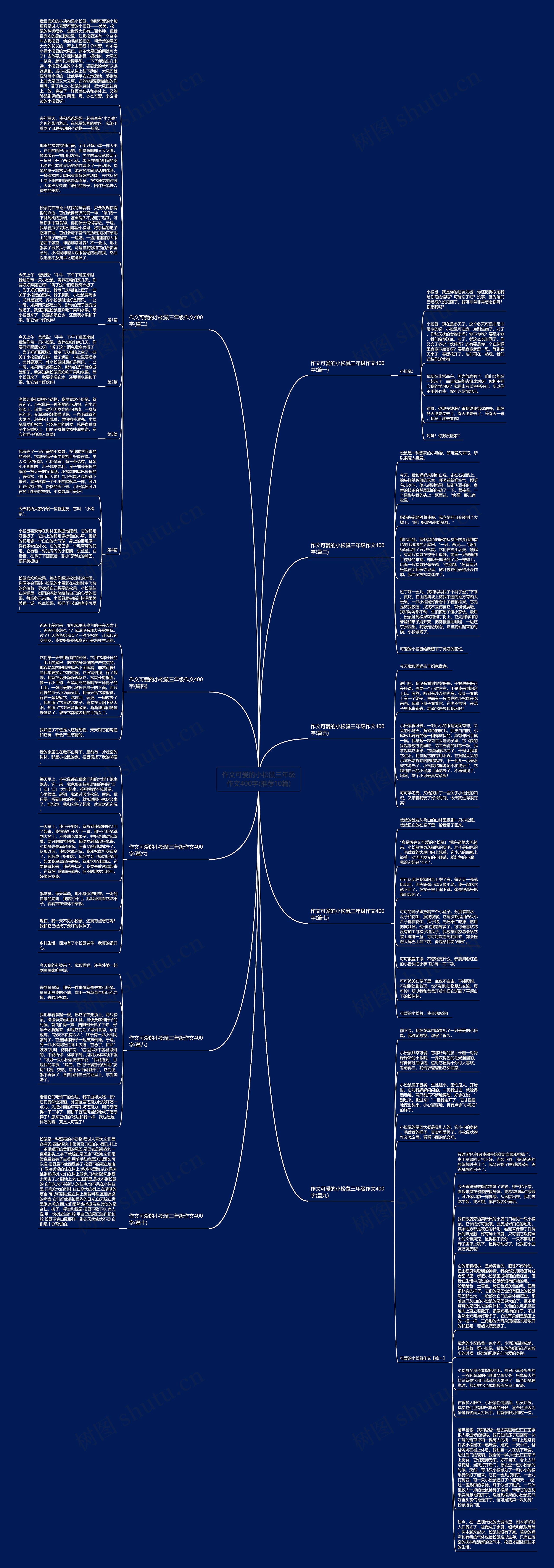 作文可爱的小松鼠三年级作文400字(推荐10篇)思维导图