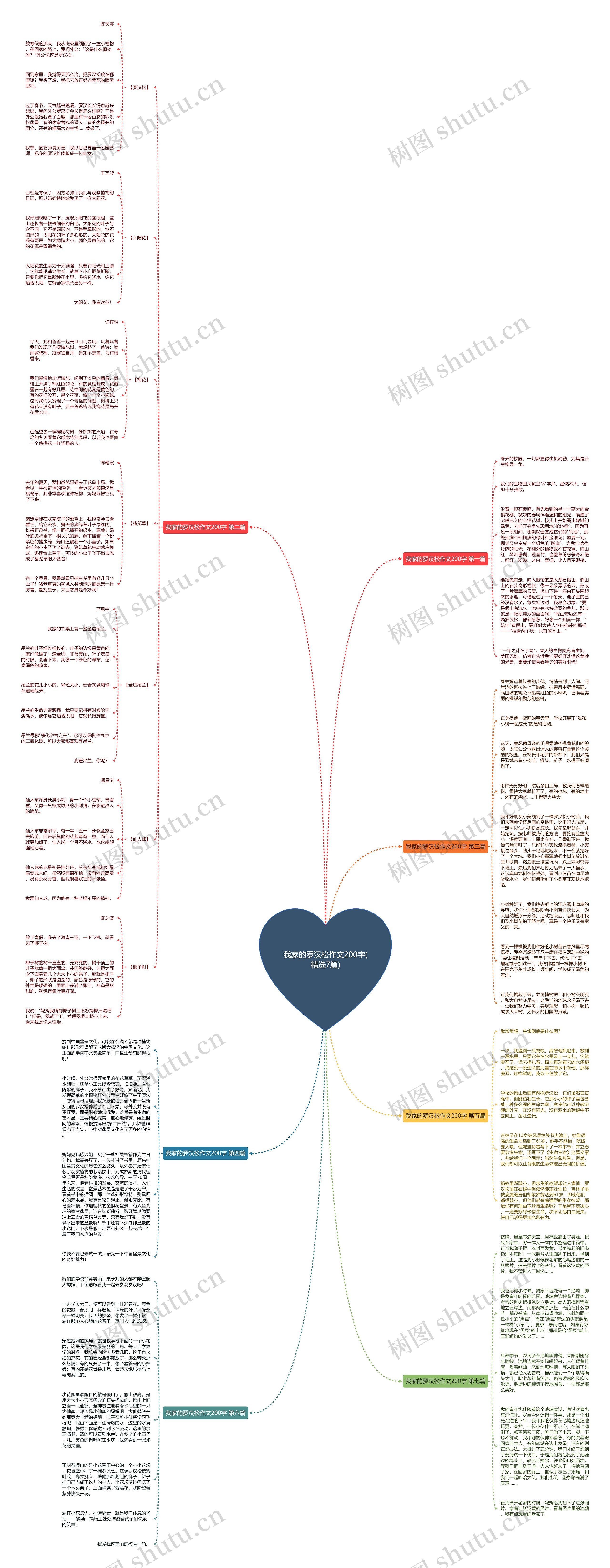 我家的罗汉松作文200字(精选7篇)思维导图