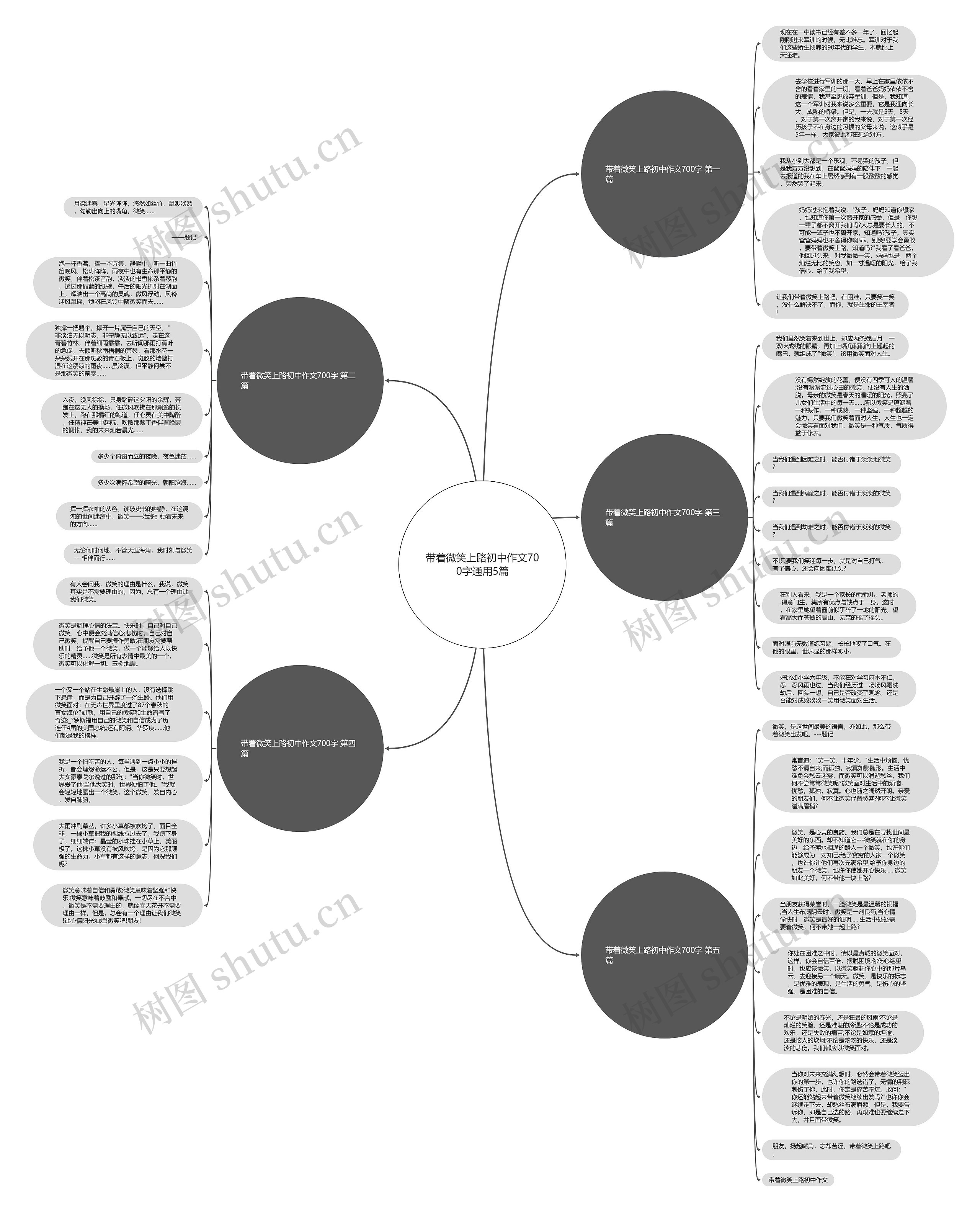 带着微笑上路初中作文700字通用5篇思维导图