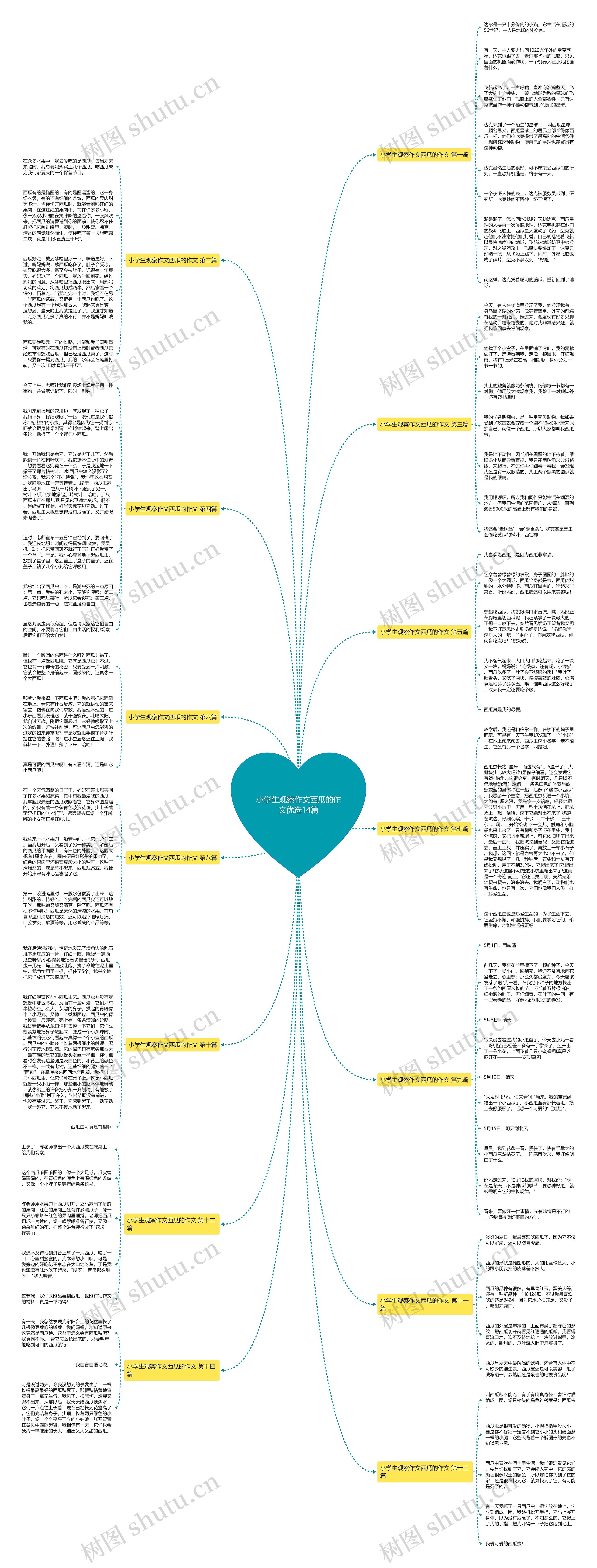 小学生观察作文西瓜的作文优选14篇 小学生观察作文西瓜的作文优选14篇