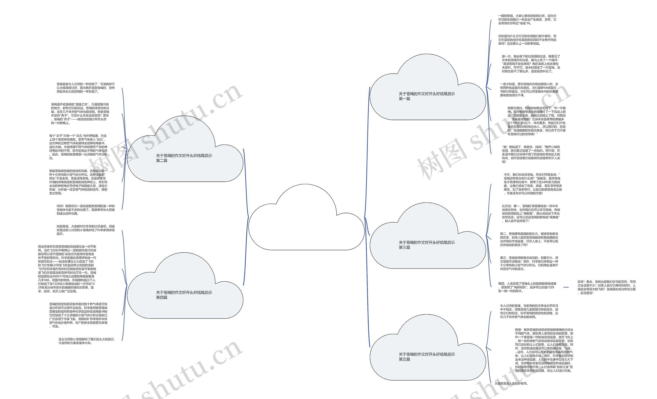 关于苍蝇的作文好开头好结尾启示优选5篇思维导图