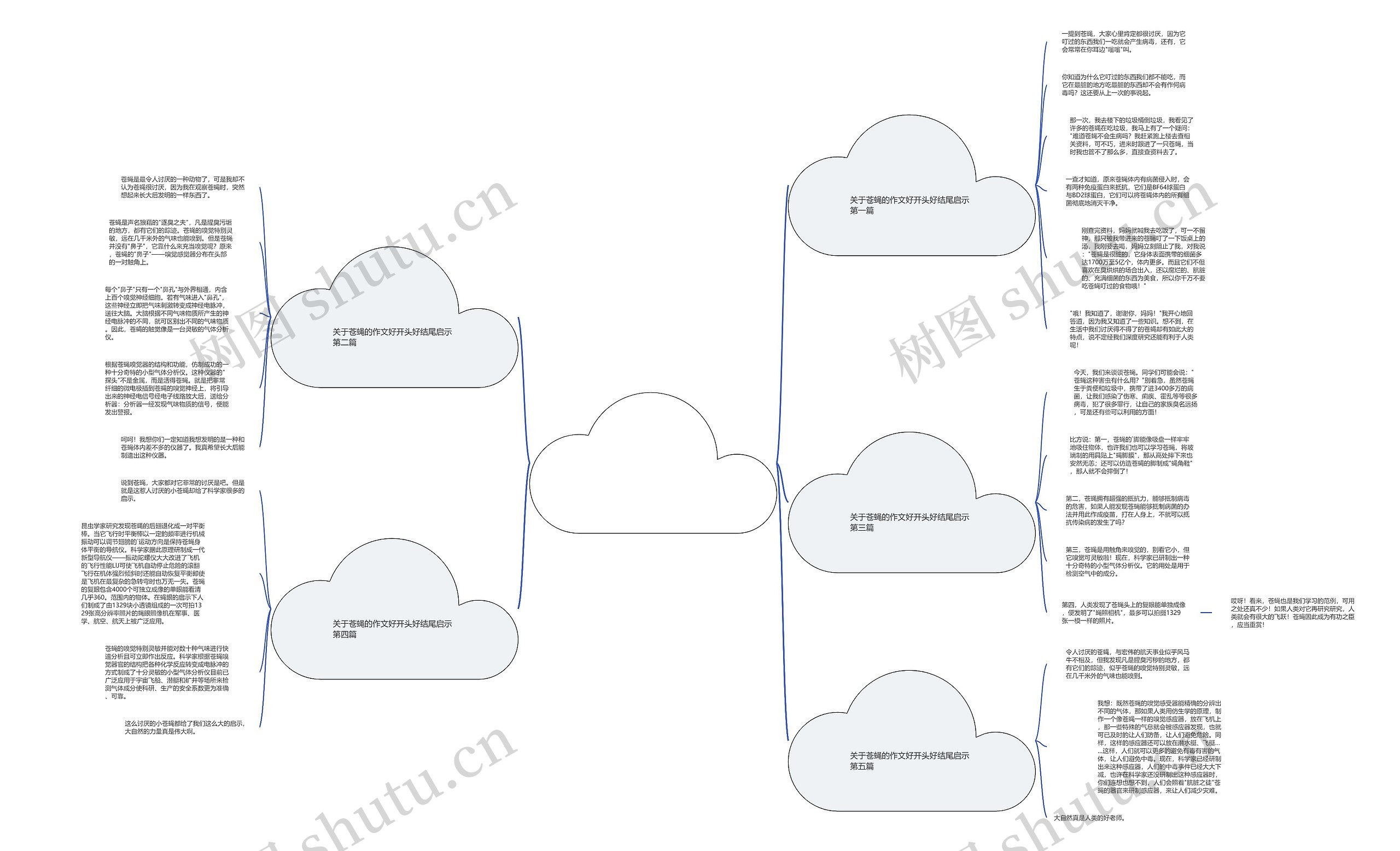关于苍蝇的作文好开头好结尾启示优选5篇 关于苍蝇的作文好开头好结尾启示优选5篇