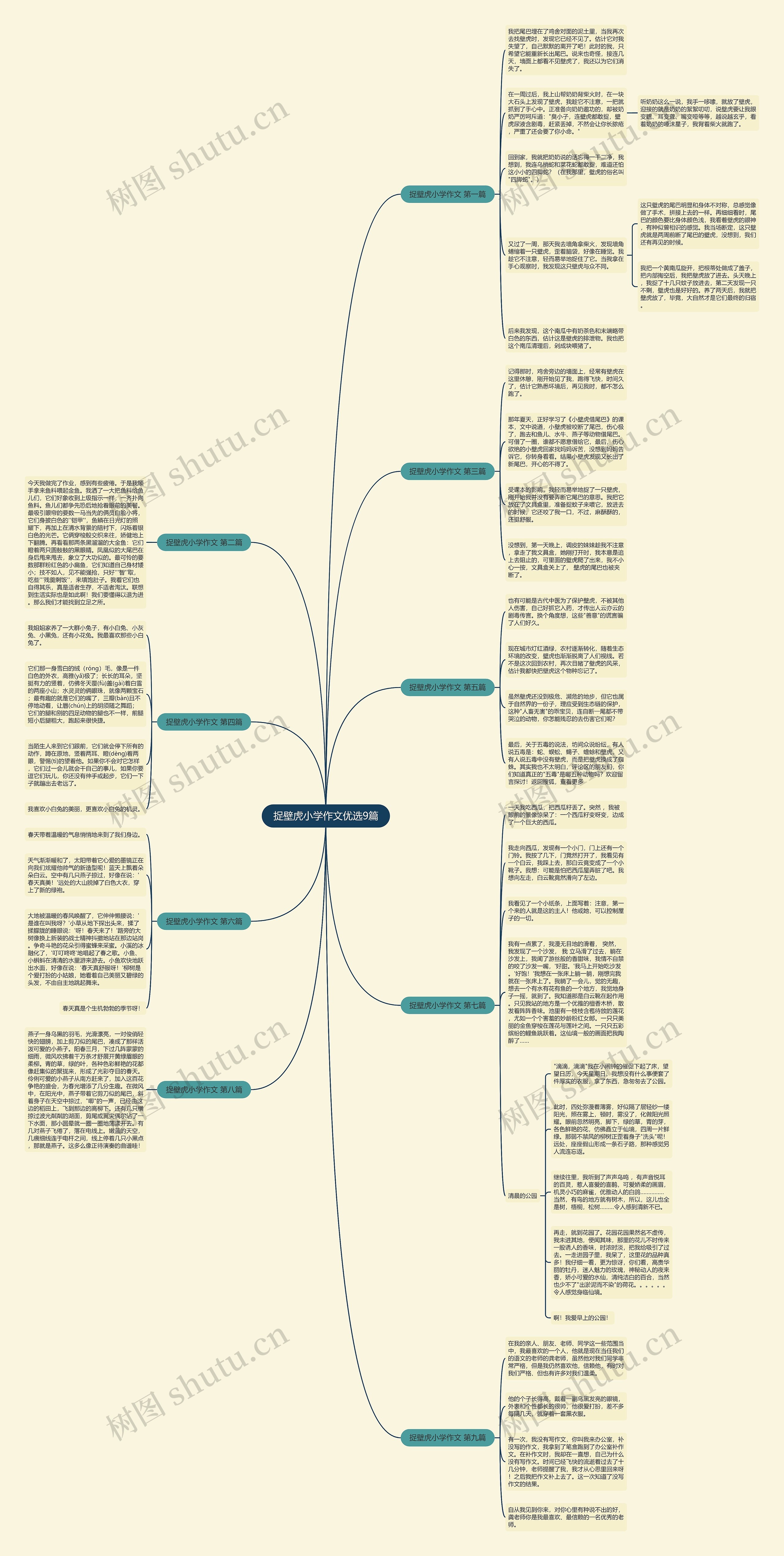 捉壁虎小学作文优选9篇思维导图