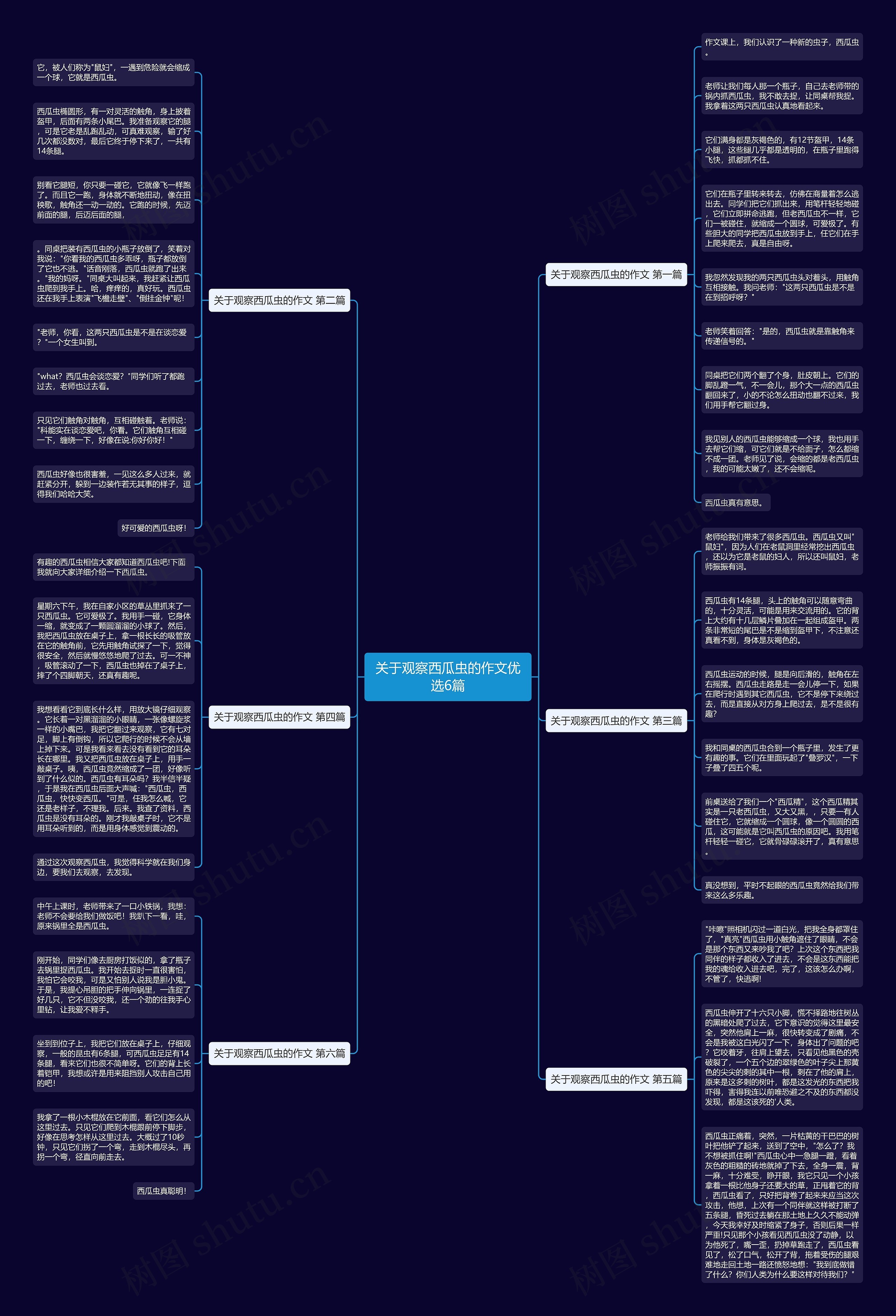 关于观察西瓜虫的作文优选6篇 关于观察西瓜虫的作文优选6篇