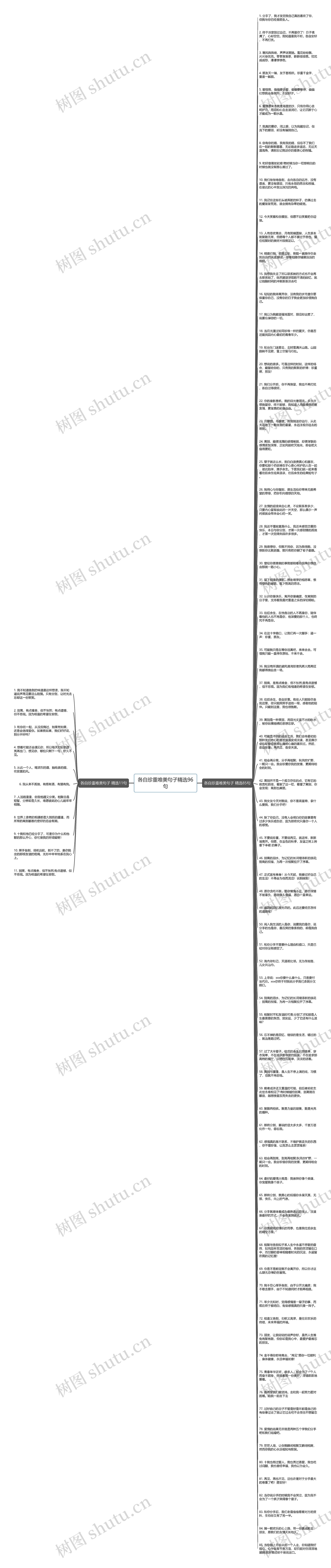 各自珍重唯美句子精选96句思维导图