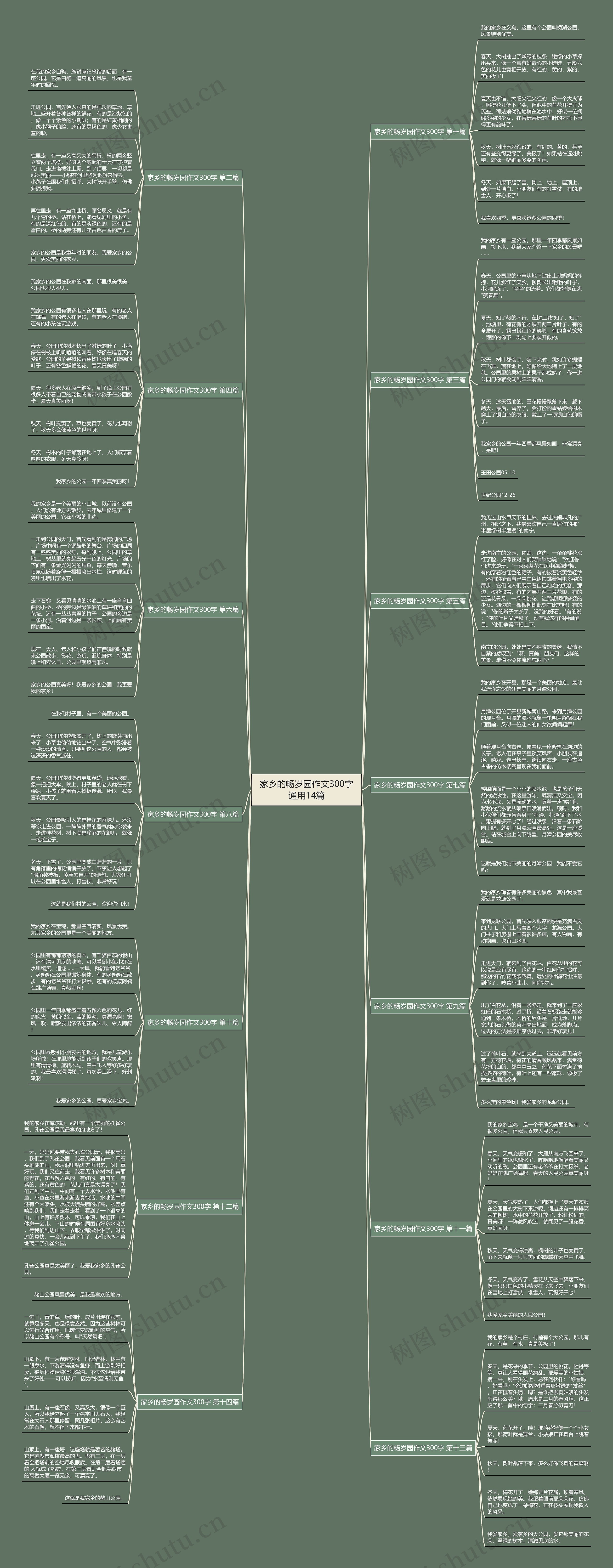 家乡的畅岁园作文300字通用14篇思维导图