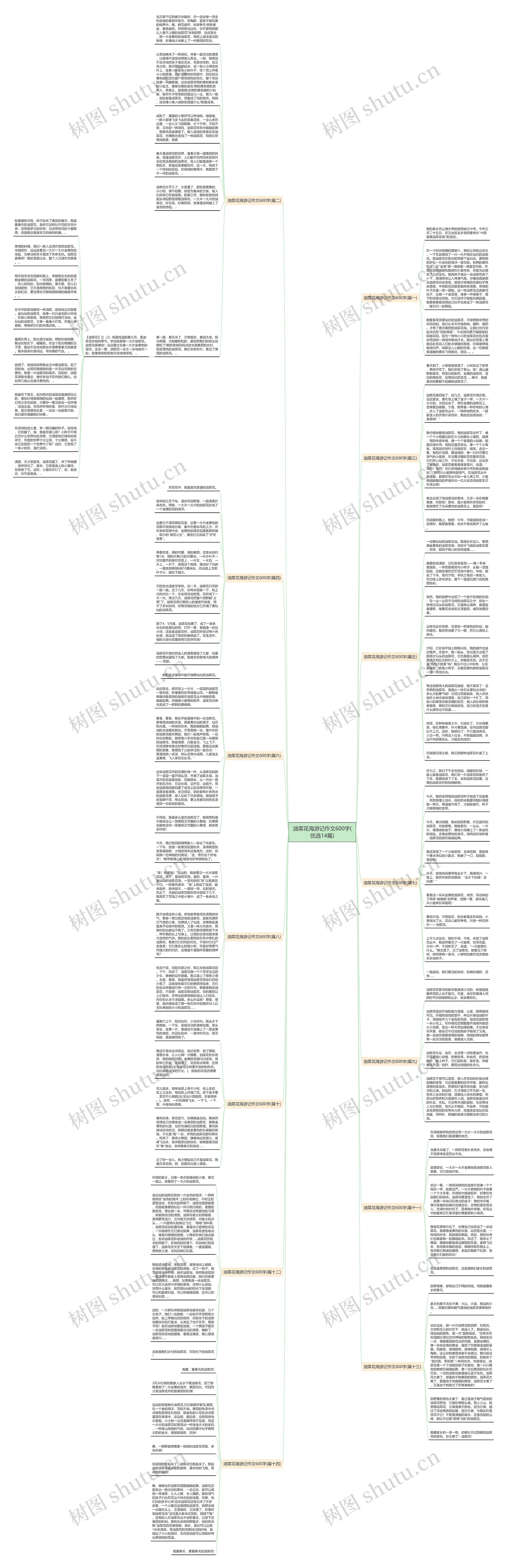 油菜花海游记作文600字(优选14篇)思维导图