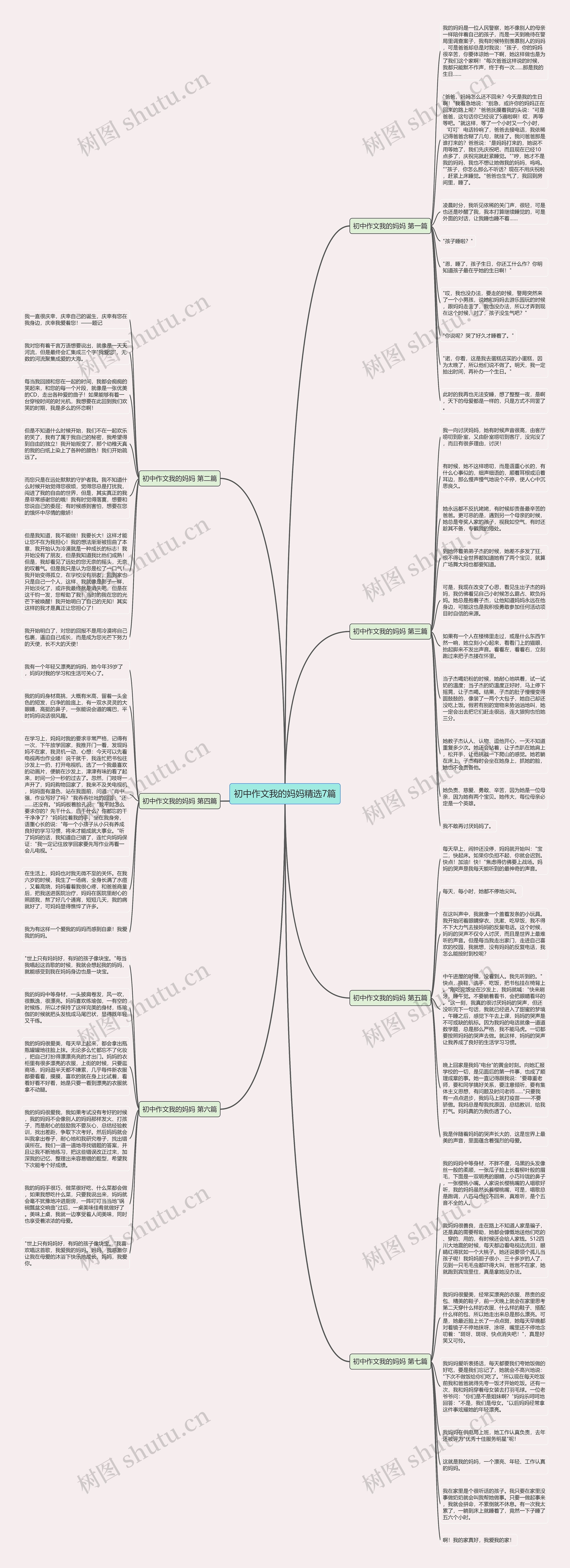 初中作文我的妈妈精选7篇思维导图