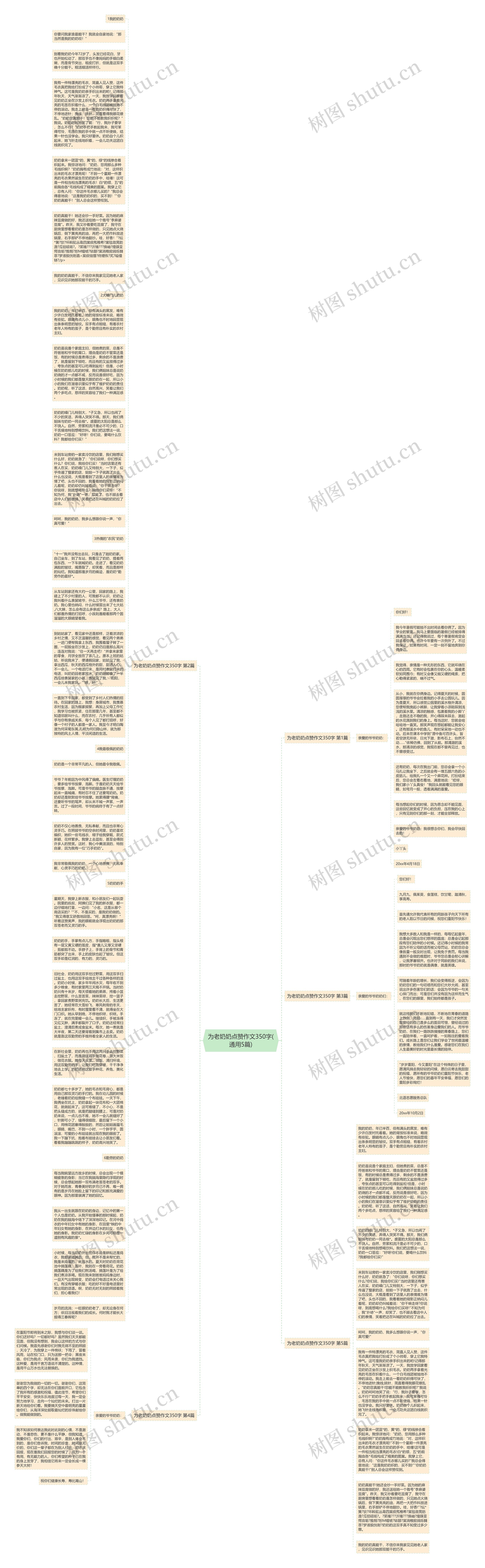 为老奶奶点赞作文350字(通用5篇)思维导图