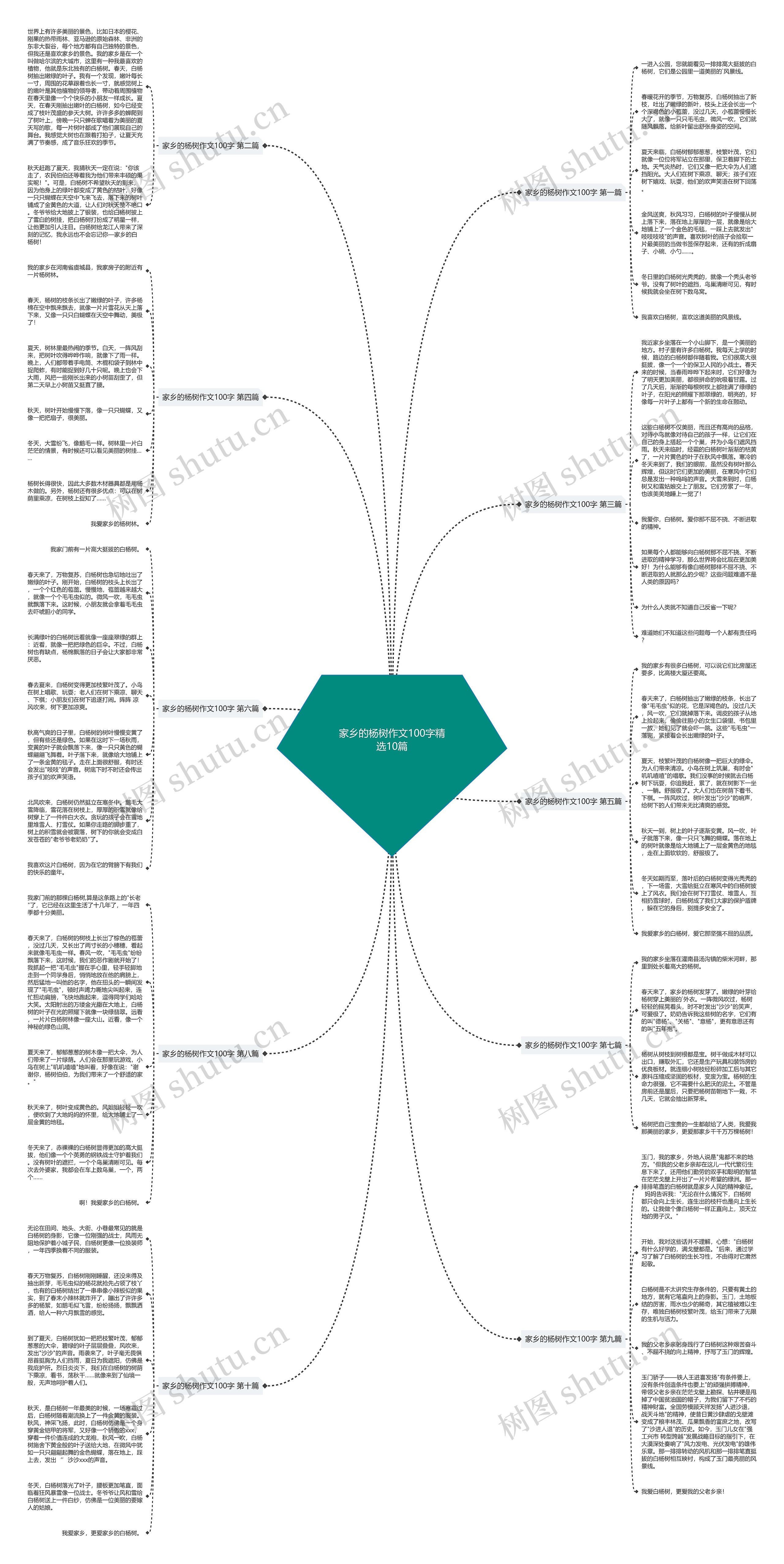 家乡的杨树作文100字精选10篇思维导图