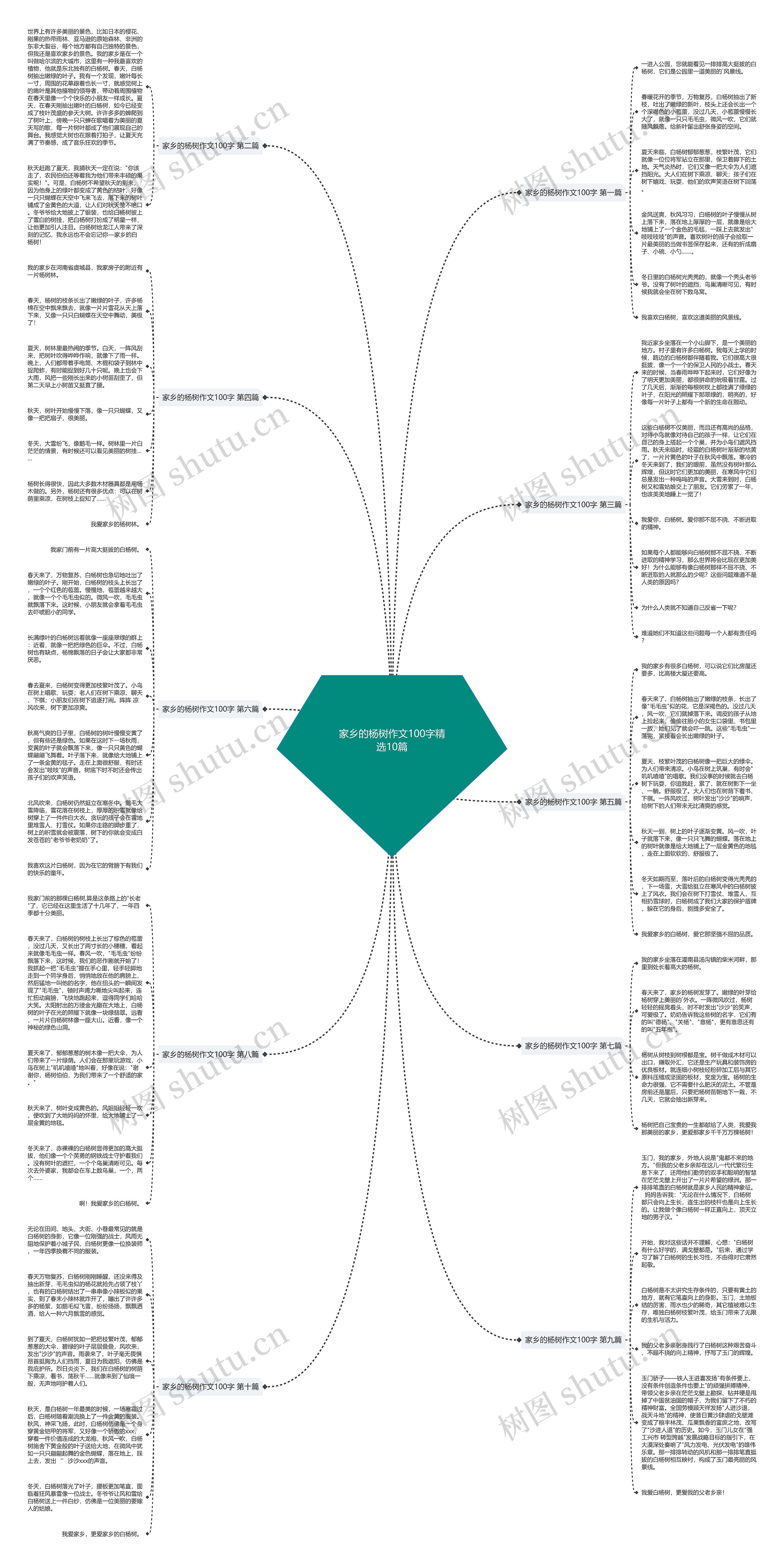 家乡的杨树作文100字精选10篇 家乡的杨树作文100字精选10篇