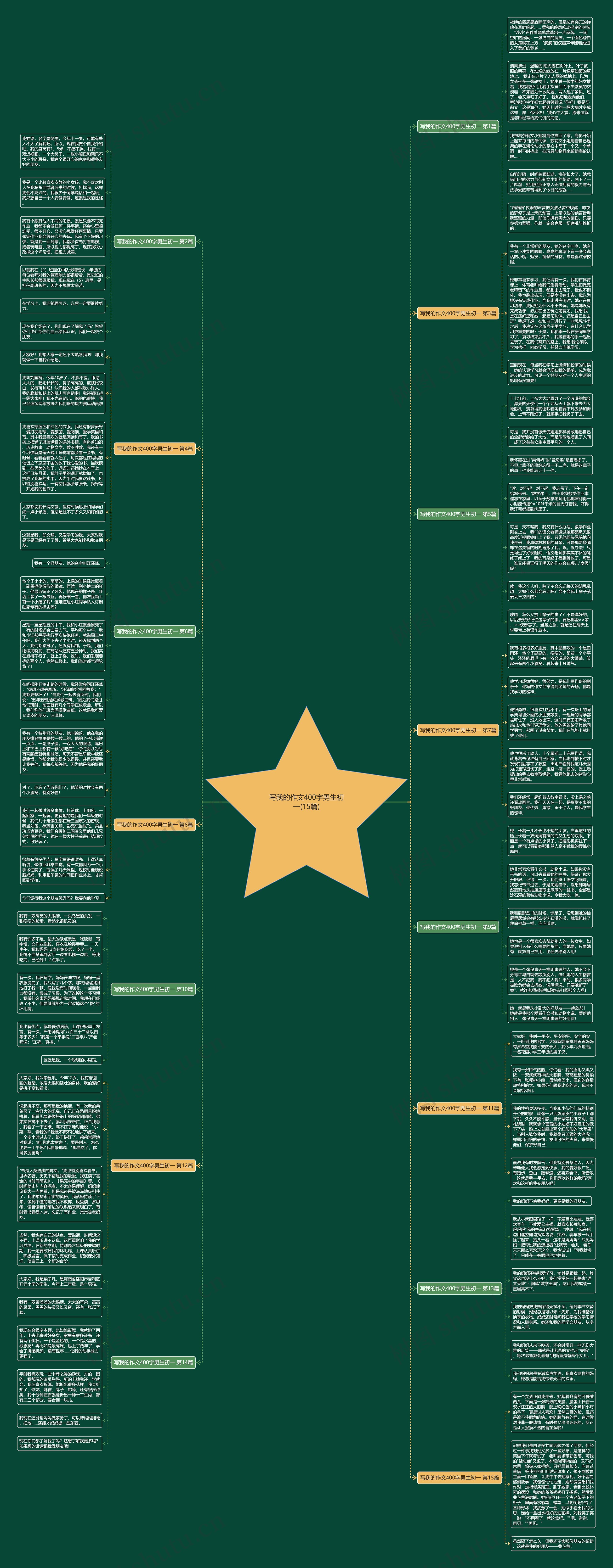 写我的作文400字男生初一(15篇)思维导图