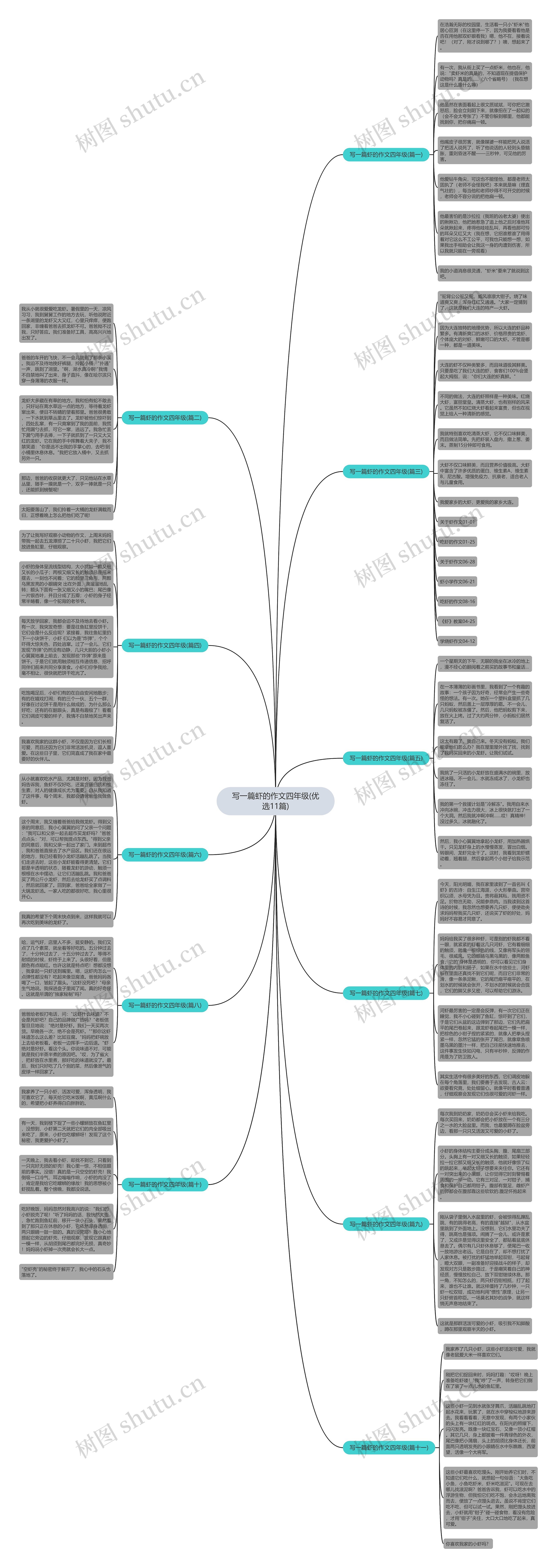 写一篇虾的作文四年级(优选11篇)思维导图