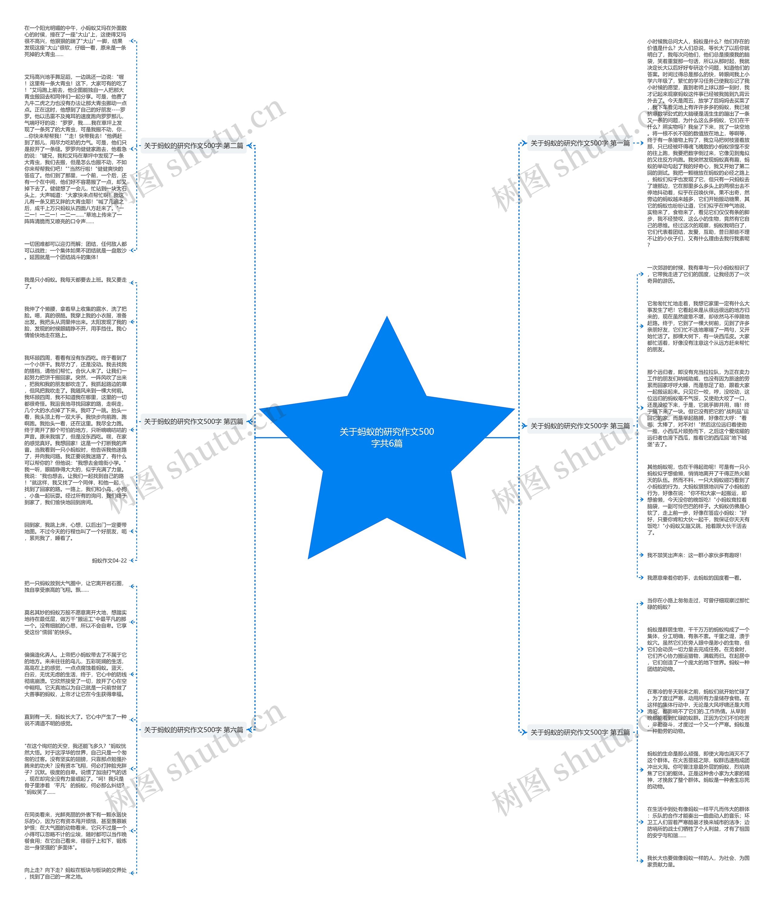 关于蚂蚁的研究作文500字共6篇思维导图