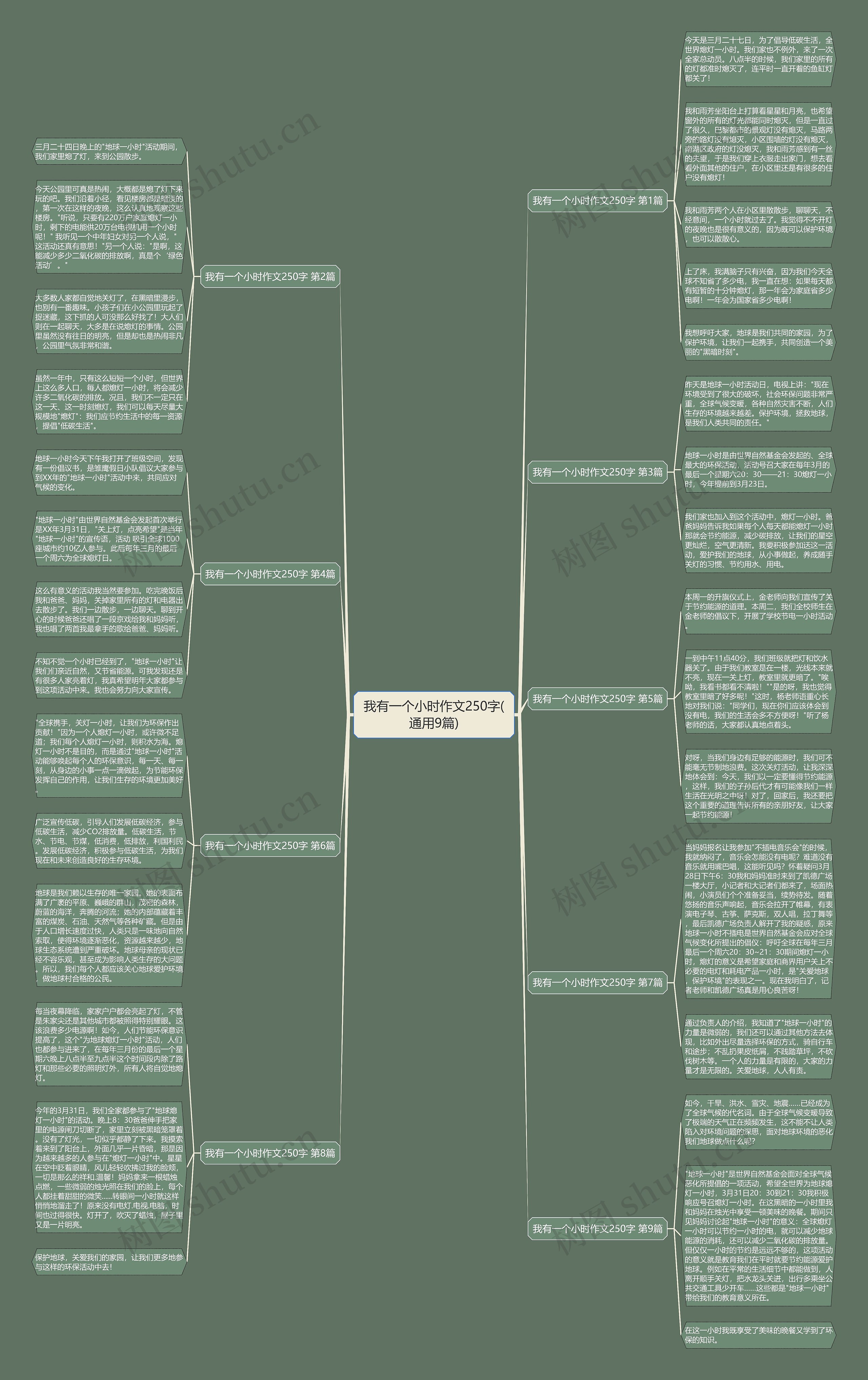 我有一个小时作文250字(通用9篇)思维导图