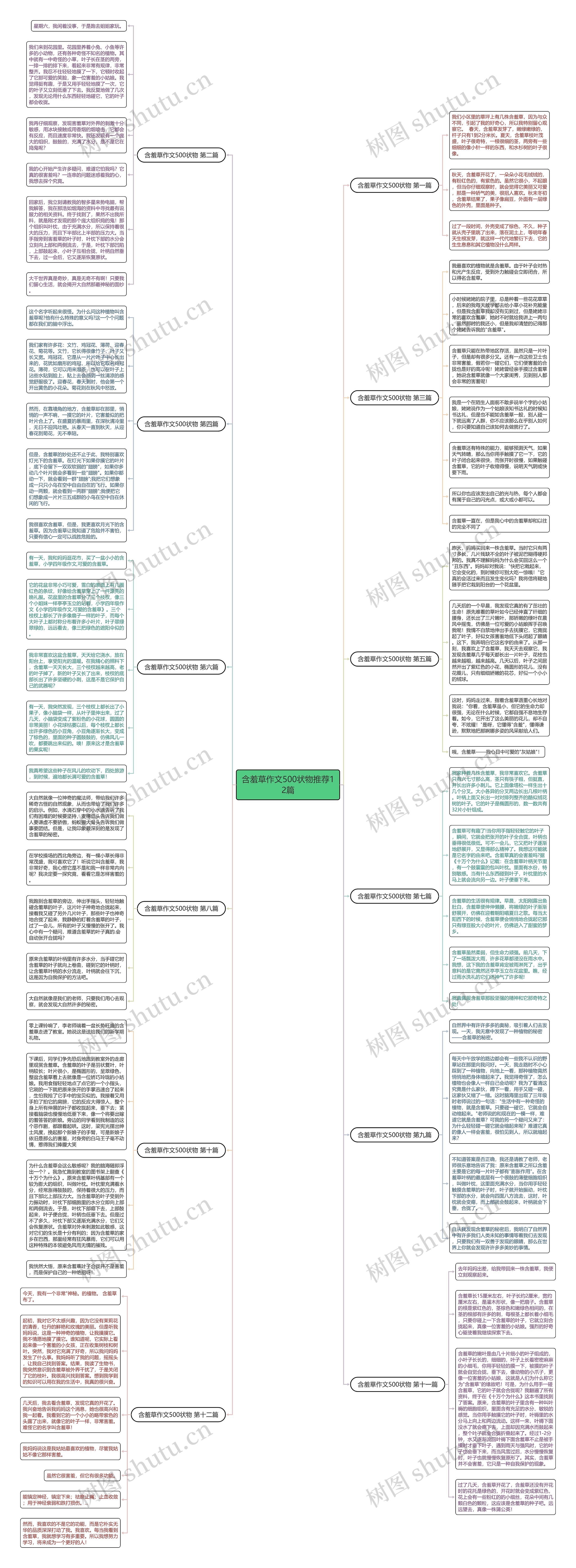 含羞草作文500状物推荐12篇思维导图