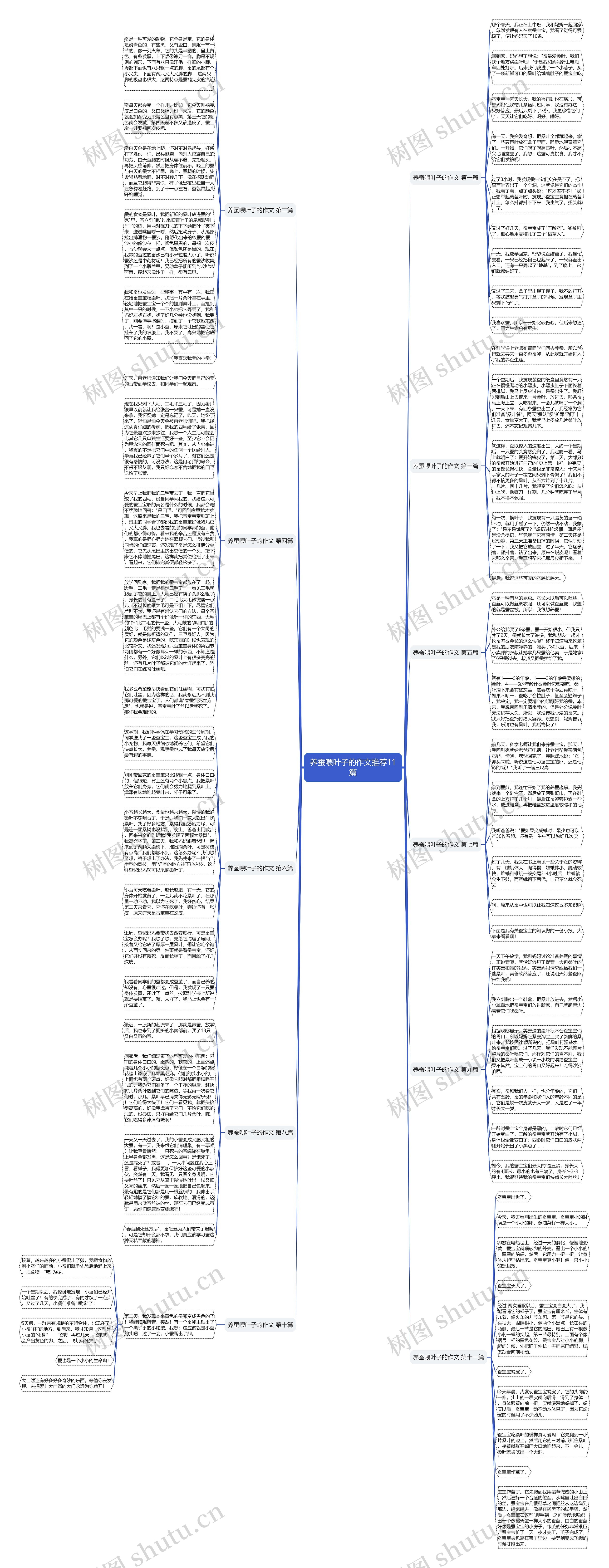养蚕喂叶子的作文推荐11篇思维导图