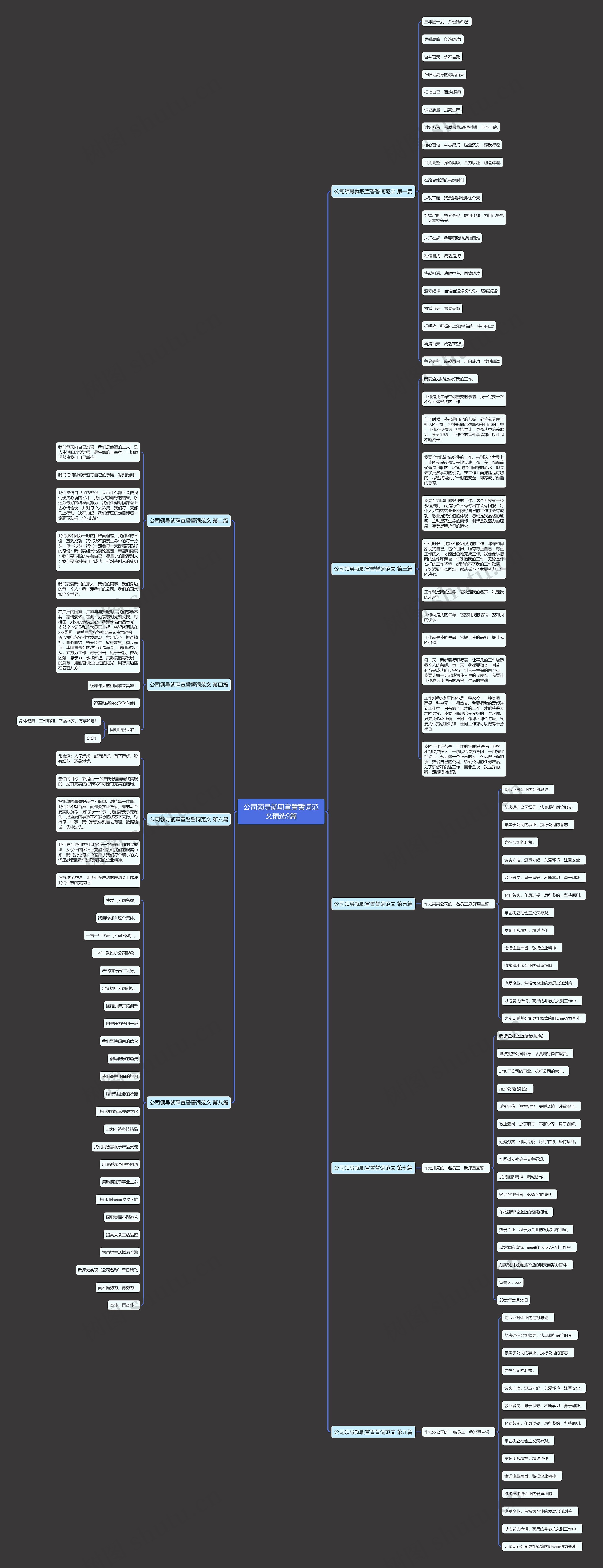 公司领导就职宣誓誓词范文精选9篇思维导图