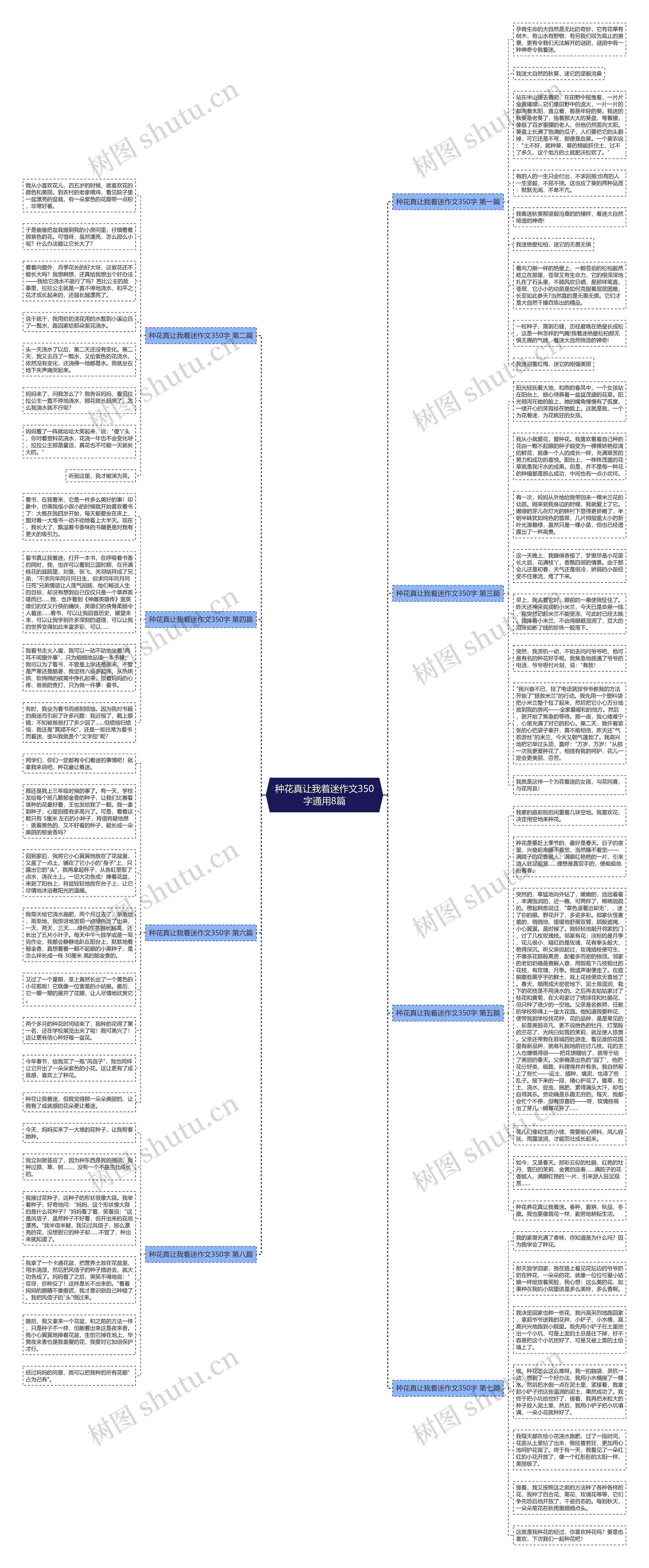 种花真让我着迷作文350字通用8篇思维导图