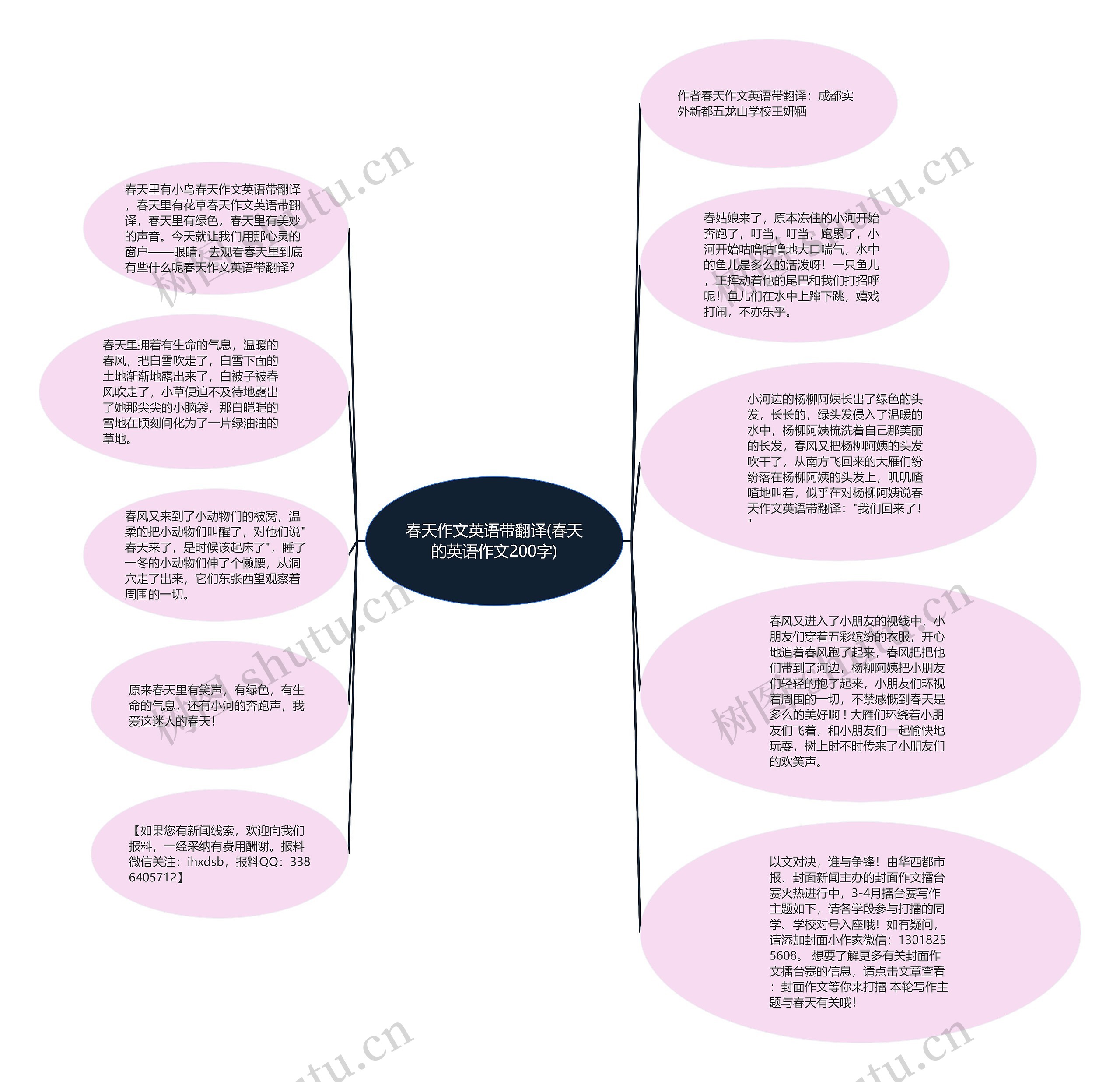 春天作文英语带翻译(春天的英语作文200字)思维导图