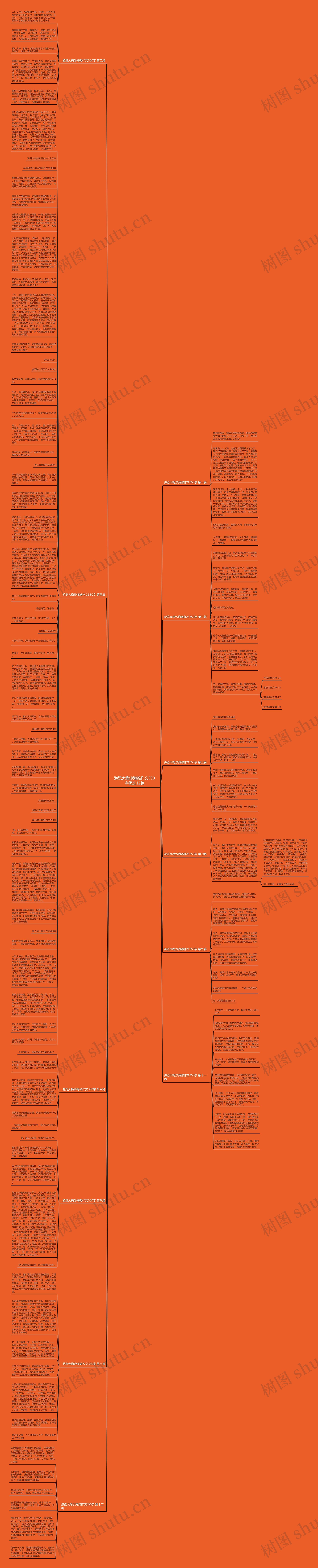 游览大梅沙海滩作文350字优选12篇思维导图