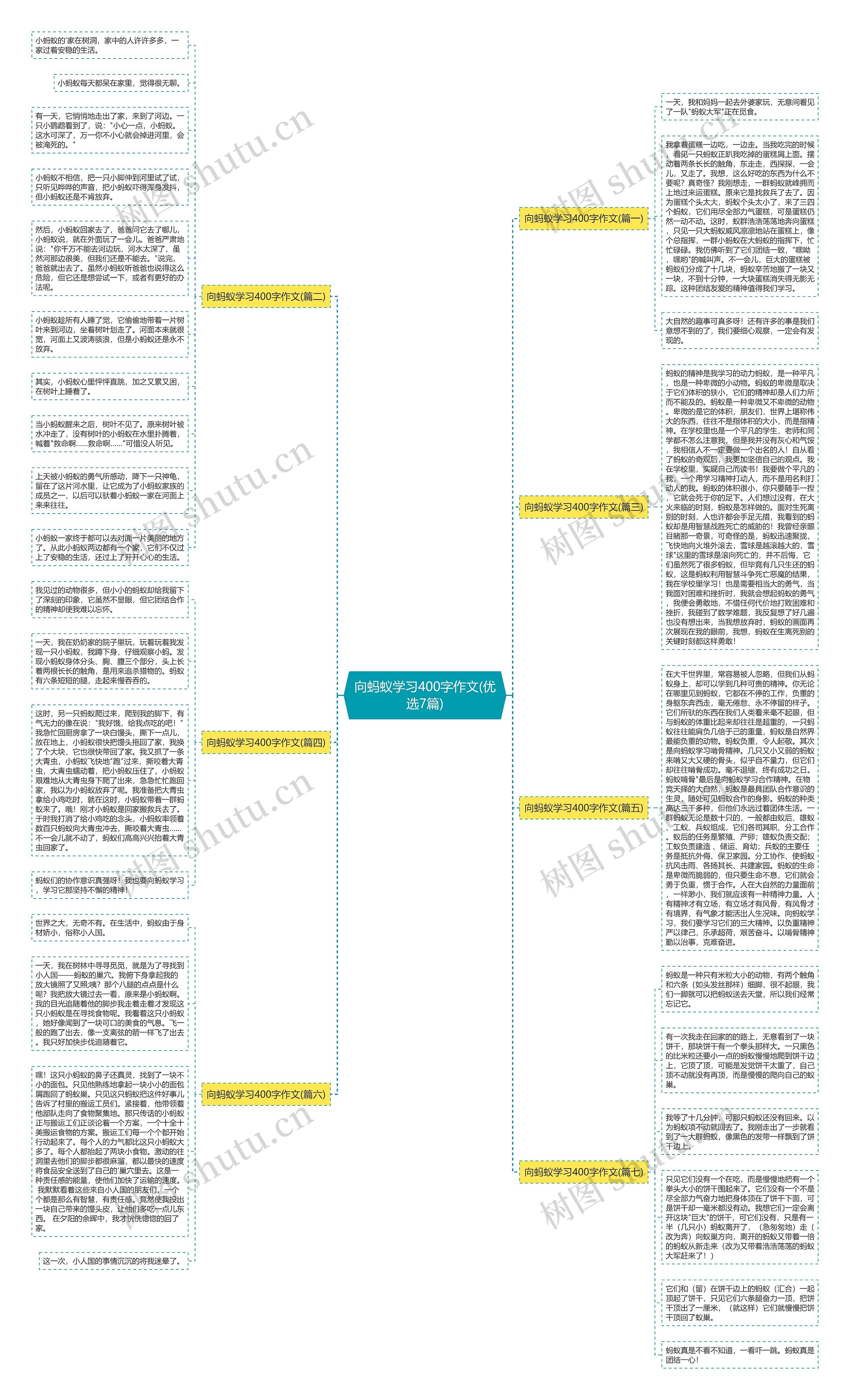 向蚂蚁学习400字作文(优选7篇)思维导图
